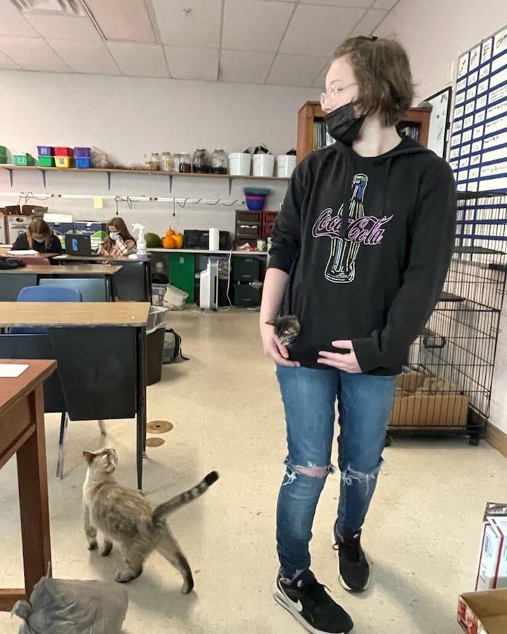 We want to thank Lu Boren’s Veterinary Science Class at Escalante Middle School for fostering a mama cat and her four babies! Students have been helping to carry out badic care, doing daily health and behavioral observations, tracking weights, and administering vaccines and medication 🐱 

This is a wonderful opportunity for students to learn about animal welfare and we are so grateful for their help with this litter! 

<a target='_blank' href='https://www.instagram.com/explore/tags/lpchs/'>#lpchs</a> <a target='_blank' href='https://www.instagram.com/explore/tags/animalwelfare/'>#animalwelfare</a> <a target='_blank' href='https://www.instagram.com/explore/tags/fosteranimals/'>#fosteranimals</a> <a target='_blank' href='https://www.instagram.com/explore/tags/mamacat/'>#mamacat</a> <a target='_blank' href='https://www.instagram.com/explore/tags/veterinaryscience/'>#veterinaryscience</a>
