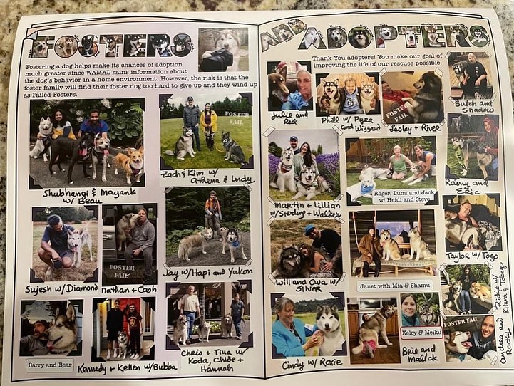 Get your WAMAL calendar today!  There are limited quantities available. 

Here is a list of the dogs who are in it (3rd photo)!! That’s a whole lotta fuzzies!! And not only dogs but fosters, adopters and volunteers too! 
Special thanks to Ron for putting in countless hours creating this incredible visual record of so many pups who found their way to WAMAL and from there to their furever homes!! 
•
•
•
<a target='_blank' href='https://www.instagram.com/explore/tags/calendarfundraiser/'>#calendarfundraiser</a> <a target='_blank' href='https://www.instagram.com/explore/tags/calendarfun/'>#calendarfun</a> <a target='_blank' href='https://www.instagram.com/explore/tags/fundraiser/'>#fundraiser</a> <a target='_blank' href='https://www.instagram.com/explore/tags/donate/'>#donate</a> <a target='_blank' href='https://www.instagram.com/explore/tags/malamuteaddicts/'>#malamuteaddicts</a> <a target='_blank' href='https://www.instagram.com/explore/tags/malamutesofinstagram/'>#malamutesofinstagram</a> <a target='_blank' href='https://www.instagram.com/explore/tags/malamuterescue/'>#malamuterescue</a> <a target='_blank' href='https://www.instagram.com/explore/tags/rescuecalendar/'>#rescuecalendar</a>