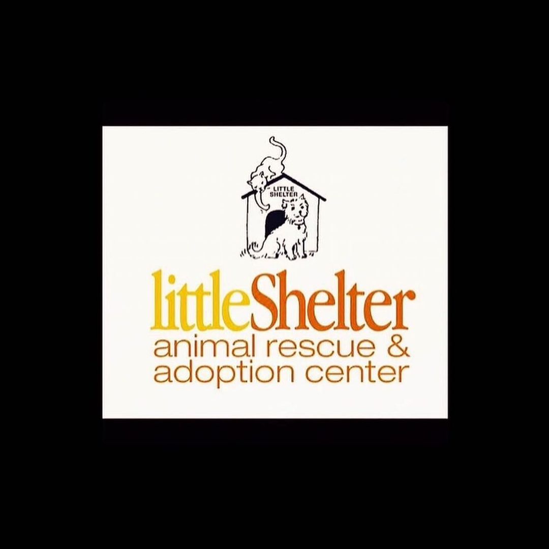 Congratulations Robbie, Guinevre, Sundance and Talia on their recent adoptions....We wish them the best with their new families! ❤️ ❤️ ❤️ <a target='_blank' href='https://www.instagram.com/explore/tags/cleartheshelters/'>#cleartheshelters</a> <a target='_blank' href='https://www.instagram.com/explore/tags/desocuparlosalbergues/'>#desocuparlosalbergues</a> <a target='_blank' href='https://www.instagram.com/explore/tags/igoinghome/'>#igoinghome</a> <a target='_blank' href='https://www.instagram.com/explore/tags/myforeverhome/'>#myforeverhome</a> <a target='_blank' href='https://www.instagram.com/explore/tags/homesweethome/'>#homesweethome</a> <a target='_blank' href='https://www.instagram.com/explore/tags/littleshelteranimalrescue/'>#littleshelteranimalrescue</a> <a target='_blank' href='https://www.instagram.com/explore/tags/94years/'>#94years</a>  <a target='_blank' href='https://www.instagram.com/explore/tags/savinglives/'>#savinglives</a> <a target='_blank' href='https://www.instagram.com/explore/tags/huntington/'>#huntington</a> <a target='_blank' href='https://www.instagram.com/explore/tags/longisland/'>#longisland</a> <a target='_blank' href='https://www.instagram.com/explore/tags/nyc/'>#nyc</a>