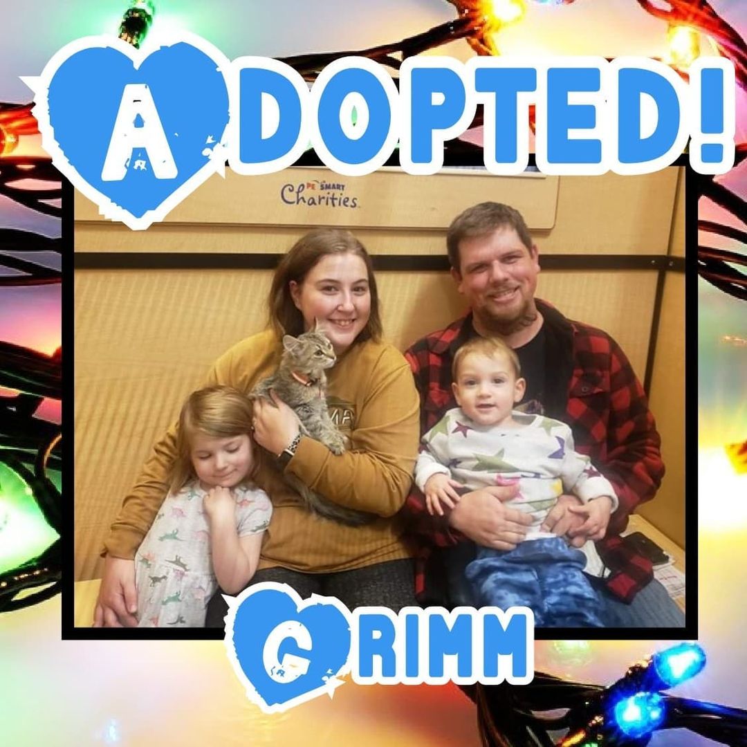 😻HAPPY TAILS!😻 Congrats to Jeanie, Vanilla Ice, Pickle, Grimm & Liberty on finding their happily ever after's! 🥳 
<a target='_blank' href='https://www.instagram.com/explore/tags/rescue/'>#rescue</a> <a target='_blank' href='https://www.instagram.com/explore/tags/dontshopadopt/'>#dontshopadopt</a> <a target='_blank' href='https://www.instagram.com/explore/tags/cats/'>#cats</a> <a target='_blank' href='https://www.instagram.com/explore/tags/catsofinstagram/'>#catsofinstagram</a> <a target='_blank' href='https://www.instagram.com/explore/tags/kittens/'>#kittens</a> <a target='_blank' href='https://www.instagram.com/explore/tags/kittensofinstagram/'>#kittensofinstagram</a> <a target='_blank' href='https://www.instagram.com/explore/tags/bethechange/'>#bethechange</a> <a target='_blank' href='https://www.instagram.com/explore/tags/onebyoneuntiltherearenone/'>#onebyoneuntiltherearenone</a> 

❤ shelterfriends.org ❤