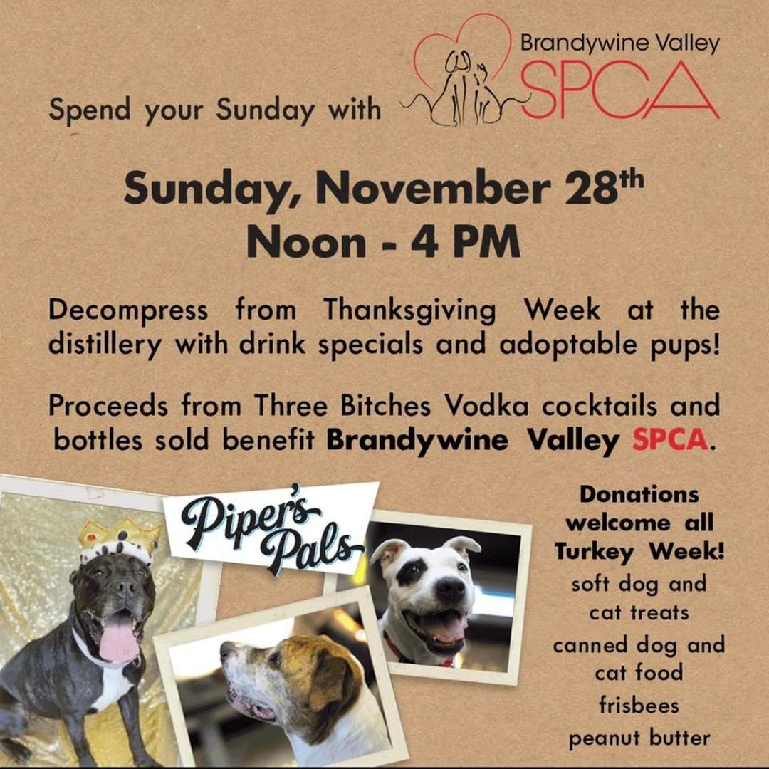 Finish up your holiday weekend with a great time for a great cause! We're hanging out with our friends at @manatawnystillworks tomorrow and some of our adoptables, plus a portion of all the sales of 3 Bitches Vodka bottles and cocktails will be donated to our work. <a target='_blank' href='https://www.instagram.com/explore/tags/community/'>#community</a> <a target='_blank' href='https://www.instagram.com/explore/tags/homefortheholidays/'>#homefortheholidays</a> <a target='_blank' href='https://www.instagram.com/explore/tags/bvspca/'>#bvspca</a>