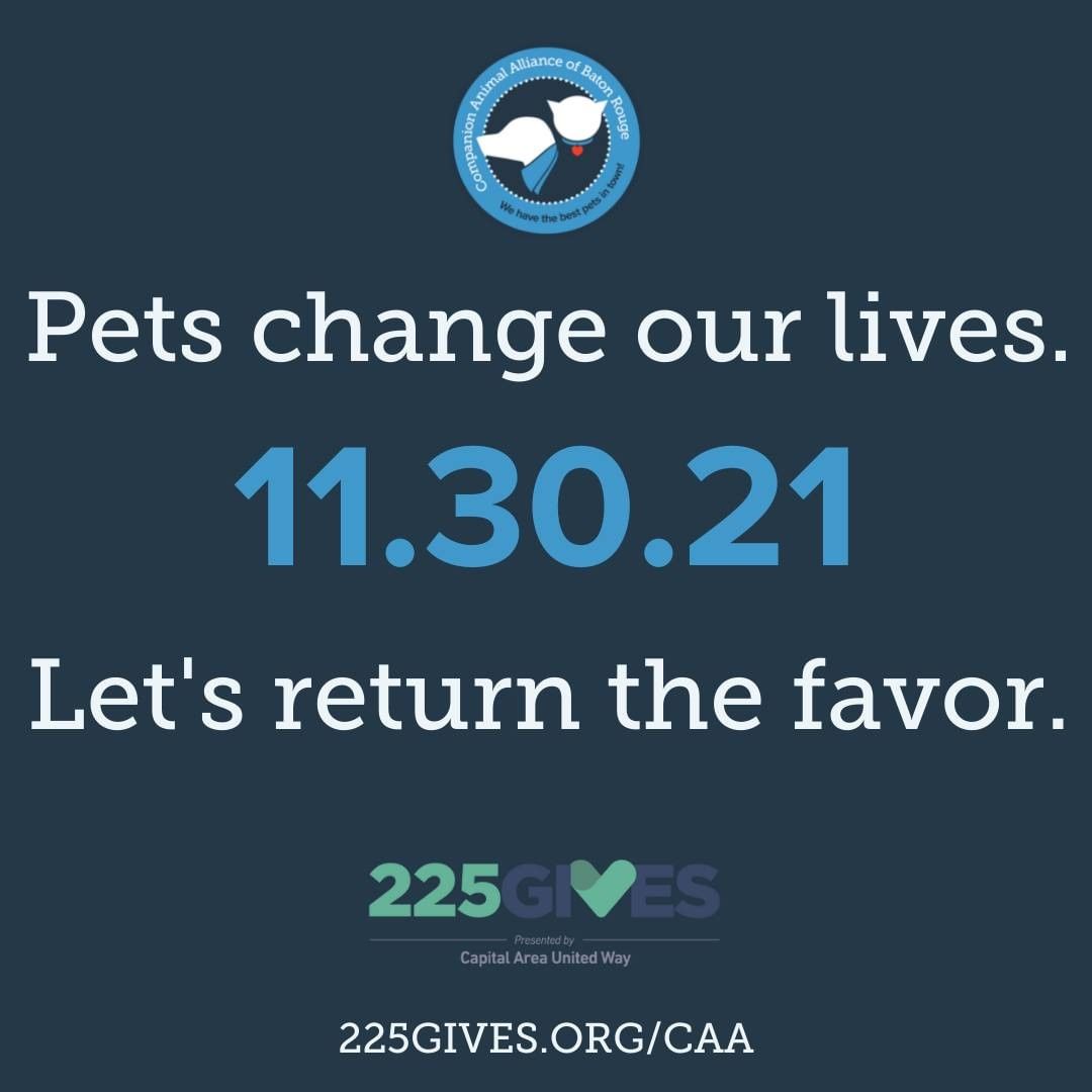 Pets change our lives; let's return the favor. Save the date and join CAA volunteer, Elizabeth, on Baton Rouge's largest giving day through 225 Gives - a full 24 hours of giving on Tuesday, November 30th. Donate online: 225gives.org/caa <a target='_blank' href='https://www.instagram.com/explore/tags/225gives/'>#225gives</a> <a target='_blank' href='https://www.instagram.com/explore/tags/caapets/'>#caapets</a>