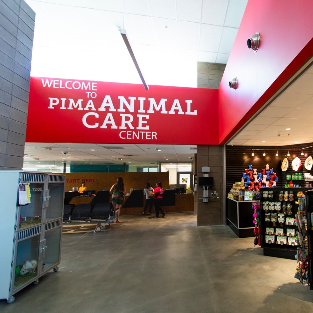 On Small Business Saturday, we’d like to highlight our partner, @central_pet_az .They help us clean kennels, provide enrichment to the pets, walk dogs, organize donations, and much more. 

Central Pet also operates the store in our lobby, so all shoppers who spend at least $10 in the store can get a $10 adoption fee. (A $20 licensing fee may apply. The $50 reservation fees will not be included in this promotion.)

https://www.centralpetaz.com/