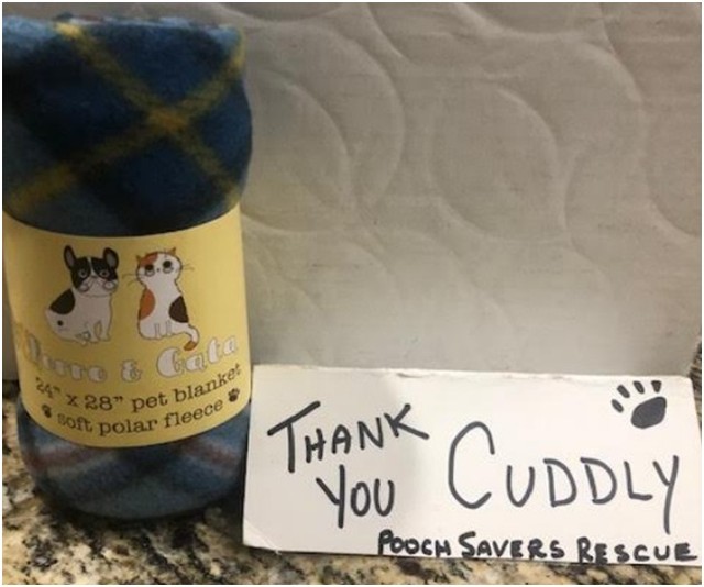 Thank you @welovecuddly for helping our pooches, this soft, warm blanket will come in very handy, especially for Waylon who has an upcoming FHO surgery!
<a target='_blank' href='https://www.instagram.com/explore/tags/PoochSaversRescue/'>#PoochSaversRescue</a>
Every Dog Deserves A Second Chance
Saving one dog will not change the world, but for that one dog, the world will change! ❤
You have the power to change a life, please do not waste it!
<a target='_blank' href='https://www.instagram.com/explore/tags/Blessed/'>#Blessed</a>