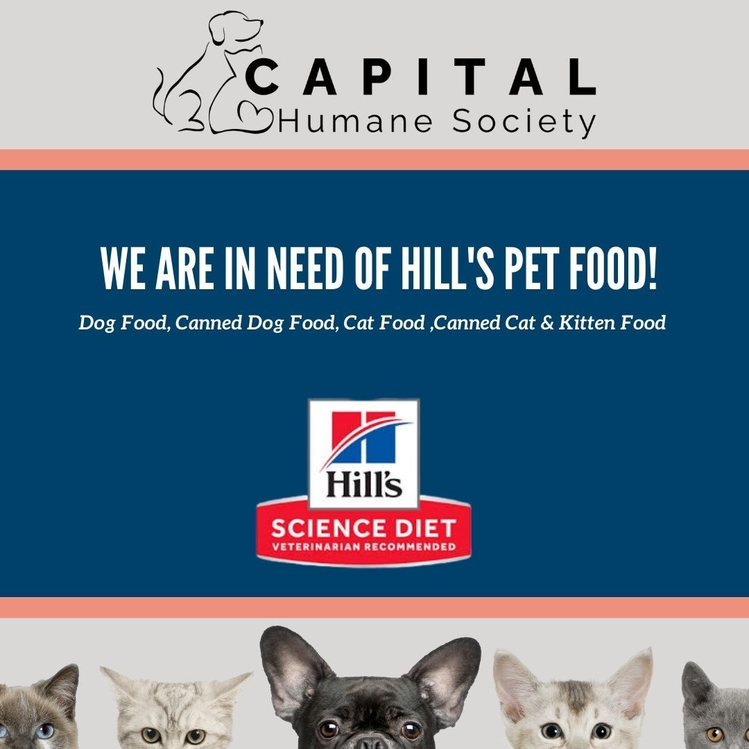 We are currently needing canned food for cats, dogs, kittens & puppies.  Can you please help us out?  You can shop the link provided below! 

https://loom.ly/9tiDHRc 

 🐾 Thank you!