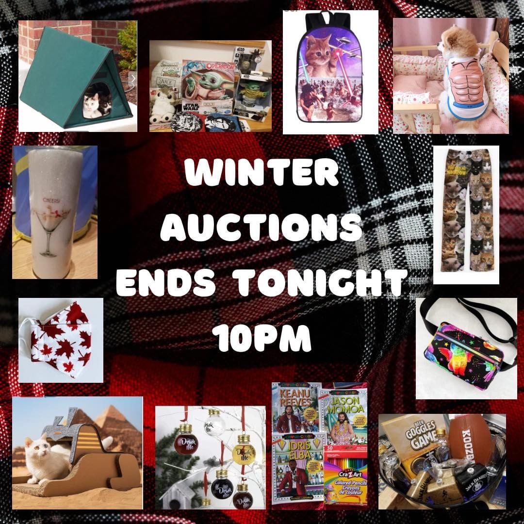 Our winter auction ends this evening! Wow that went by fast! Get your final bids in and get something for everyone on your list this holiday season. 

Check it out here: https://www.32auctions.com/Teamcat2021

All items will be pick up only and all proceeds to go our cats and their veterinary bills. Pick up locations are: Hamilton, Etobicoke, Mississauga, Pickering, Danforth/Pape, Newmarket, Thornhill and Dufferin/Rogers. 

.
.
.
.
.
.
.
.
.
.
<a target='_blank' href='https://www.instagram.com/explore/tags/teamcatrescue/'>#teamcatrescue</a> <a target='_blank' href='https://www.instagram.com/explore/tags/adoptacat/'>#adoptacat</a> <a target='_blank' href='https://www.instagram.com/explore/tags/adoptdontshop/'>#adoptdontshop</a> <a target='_blank' href='https://www.instagram.com/explore/tags/catrescue/'>#catrescue</a> <a target='_blank' href='https://www.instagram.com/explore/tags/rescuecat/'>#rescuecat</a> <a target='_blank' href='https://www.instagram.com/explore/tags/adopt/'>#adopt</a> <a target='_blank' href='https://www.instagram.com/explore/tags/adoption/'>#adoption</a> <a target='_blank' href='https://www.instagram.com/explore/tags/love/'>#love</a> <a target='_blank' href='https://www.instagram.com/explore/tags/catlovers/'>#catlovers</a> <a target='_blank' href='https://www.instagram.com/explore/tags/catlife/'>#catlife</a> <a target='_blank' href='https://www.instagram.com/explore/tags/cute/'>#cute</a> <a target='_blank' href='https://www.instagram.com/explore/tags/happy/'>#happy</a> <a target='_blank' href='https://www.instagram.com/explore/tags/toronto/'>#toronto</a> <a target='_blank' href='https://www.instagram.com/explore/tags/ilovemycat/'>#ilovemycat</a> <a target='_blank' href='https://www.instagram.com/explore/tags/cat/'>#cat</a> <a target='_blank' href='https://www.instagram.com/explore/tags/adoptcat/'>#adoptcat</a> <a target='_blank' href='https://www.instagram.com/explore/tags/nonprofit/'>#nonprofit</a> <a target='_blank' href='https://www.instagram.com/explore/tags/charity/'>#charity</a> <a target='_blank' href='https://www.instagram.com/explore/tags/follow/'>#follow</a> <a target='_blank' href='https://www.instagram.com/explore/tags/instagood/'>#instagood</a> <a target='_blank' href='https://www.instagram.com/explore/tags/catsofinstagram/'>#catsofinstagram</a> <a target='_blank' href='https://www.instagram.com/explore/tags/cats_of_instagram/'>#cats_of_instagram</a>