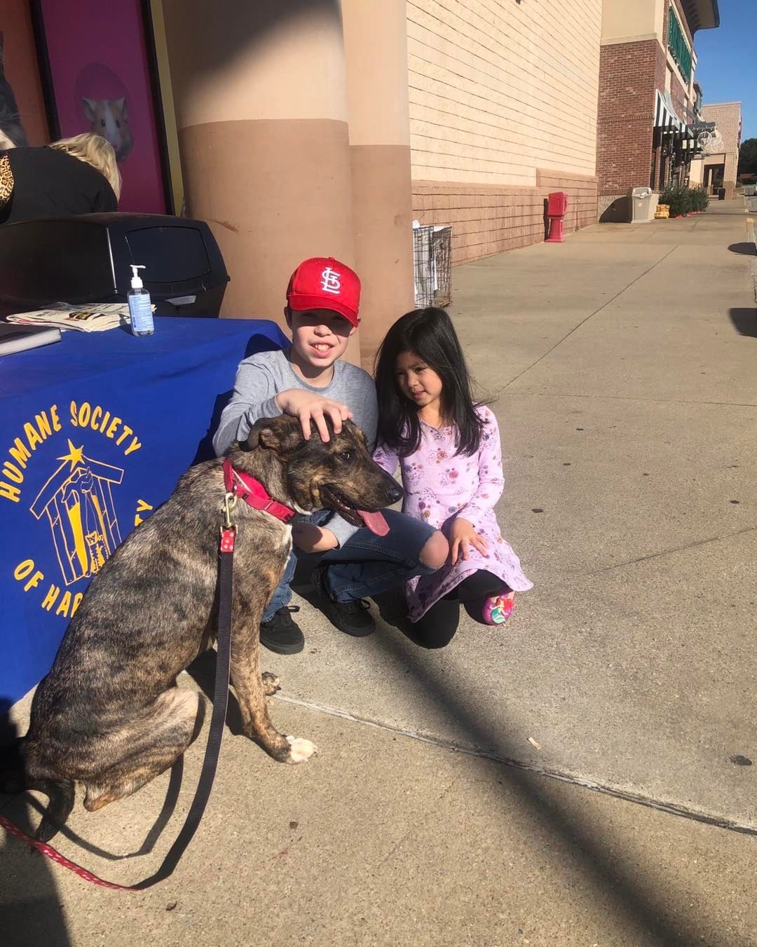 Another great adoption day at PetSmart! Fern and Maple met their new families, and are off to start their new lives. Happy adoption day, wish you all the best 🐾
 <a target='_blank' href='https://www.instagram.com/explore/tags/adoption/'>#adoption</a>  <a target='_blank' href='https://www.instagram.com/explore/tags/adoptionrocks/'>#adoptionrocks</a> <a target='_blank' href='https://www.instagram.com/explore/tags/happytails/'>#happytails</a> <a target='_blank' href='https://www.instagram.com/explore/tags/happyadoptionday/'>#happyadoptionday</a> <a target='_blank' href='https://www.instagram.com/explore/tags/rescuedog/'>#rescuedog</a> <a target='_blank' href='https://www.instagram.com/explore/tags/whywerescue/'>#whywerescue</a> <a target='_blank' href='https://www.instagram.com/explore/tags/dog/'>#dog</a> # <a target='_blank' href='https://www.instagram.com/explore/tags/doglife/'>#doglife</a> <a target='_blank' href='https://www.instagram.com/explore/tags/chooseadoption/'>#chooseadoption</a>