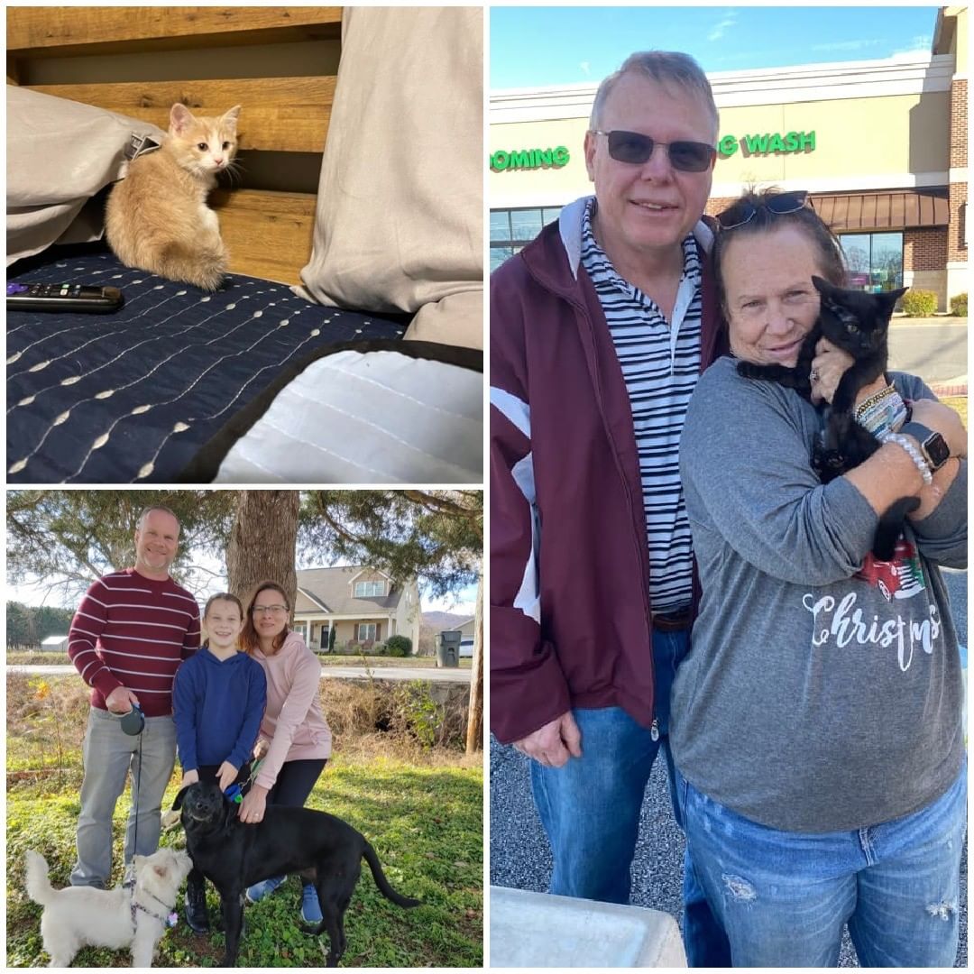 <a target='_blank' href='https://www.instagram.com/explore/tags/HappyTails/'>#HappyTails</a> to over 45 of our cats and dogs who found fantastic homes this week! We are so thankful for all who chose to adopt a furry family member! 
🐶💚🐱
If you’d like to find a best friend too, head on over to our website to see who is looking for a furever family! If you see a pet you’re interested in, please fill out an adoption survey to get connected with our adoption team who can set up a meet and greet! 
www.anewleash.org

<a target='_blank' href='https://www.instagram.com/explore/tags/anewleashonlife/'>#anewleashonlife</a> <a target='_blank' href='https://www.instagram.com/explore/tags/anewleash/'>#anewleash</a> <a target='_blank' href='https://www.instagram.com/explore/tags/anlol/'>#anlol</a> <a target='_blank' href='https://www.instagram.com/explore/tags/adoptionevent/'>#adoptionevent</a> <a target='_blank' href='https://www.instagram.com/explore/tags/adoptables/'>#adoptables</a> <a target='_blank' href='https://www.instagram.com/explore/tags/adoptdontshop/'>#adoptdontshop</a>  <a target='_blank' href='https://www.instagram.com/explore/tags/rescuedismyfavoritebreed/'>#rescuedismyfavoritebreed</a> <a target='_blank' href='https://www.instagram.com/explore/tags/adoptadog/'>#adoptadog</a> <a target='_blank' href='https://www.instagram.com/explore/tags/adoptacat/'>#adoptacat</a> <a target='_blank' href='https://www.instagram.com/explore/tags/rescuedog/'>#rescuedog</a> <a target='_blank' href='https://www.instagram.com/explore/tags/rescuecat/'>#rescuecat</a> <a target='_blank' href='https://www.instagram.com/explore/tags/spayandneuter/'>#spayandneuter</a> <a target='_blank' href='https://www.instagram.com/explore/tags/savethemall/'>#savethemall</a> <a target='_blank' href='https://www.instagram.com/explore/tags/choosetoadopt/'>#choosetoadopt</a> <a target='_blank' href='https://www.instagram.com/explore/tags/alabamaanimalrescue/'>#alabamaanimalrescue</a> <a target='_blank' href='https://www.instagram.com/explore/tags/adoptme/'>#adoptme</a> <a target='_blank' href='https://www.instagram.com/explore/tags/volunteer/'>#volunteer</a> <a target='_blank' href='https://www.instagram.com/explore/tags/foster/'>#foster</a> <a target='_blank' href='https://www.instagram.com/explore/tags/fosteringsaveslives/'>#fosteringsaveslives</a> <a target='_blank' href='https://www.instagram.com/explore/tags/adoptpurelove/'>#adoptpurelove</a> <a target='_blank' href='https://www.instagram.com/explore/tags/huntsvilleal/'>#huntsvilleal</a> <a target='_blank' href='https://www.instagram.com/explore/tags/rescuepet/'>#rescuepet</a> <a target='_blank' href='https://www.instagram.com/explore/tags/rescuepetsofinstagram/'>#rescuepetsofinstagram</a>  <a target='_blank' href='https://www.instagram.com/explore/tags/rescue/'>#rescue</a> <a target='_blank' href='https://www.instagram.com/explore/tags/madisonal/'>#madisonal</a> <a target='_blank' href='https://www.instagram.com/explore/tags/northalabama/'>#northalabama</a>