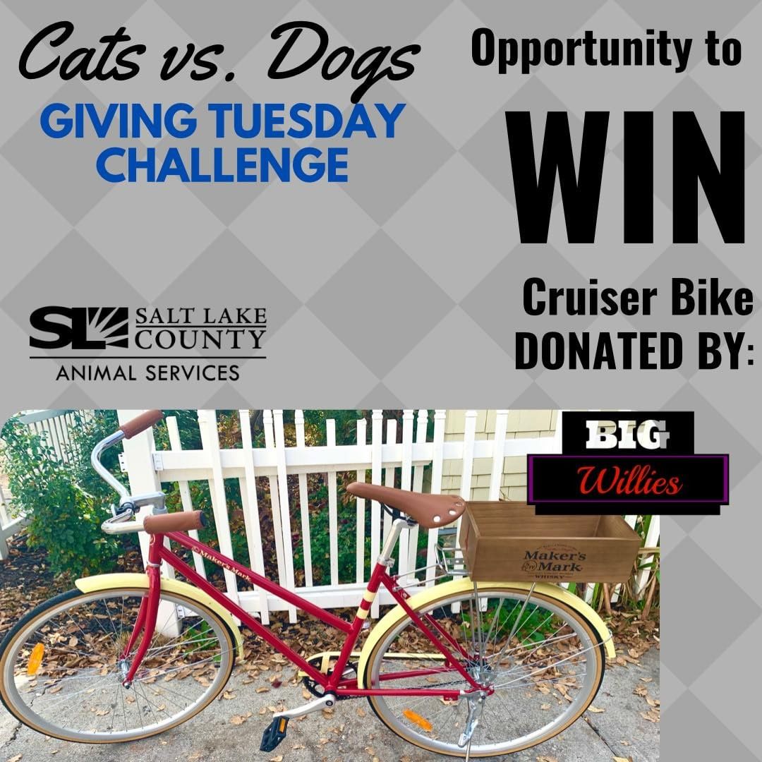 Give Thanks & Help Injured Animals! You could win this Makers Mark cruiser bike donated by Big Willies. How can you win? 

For every $20 donated to the Cats vs Dogs Giving challenge, you can be entered to win the cruiser bike. You MUST put in the notes section ”Cat Bike” or “Dog Bike” in order for us to enter your name. Remember this is a friendly challenge to see who can raise more money for our Injured Animal Fund, CAT people or DOG people? Link in bio or here: slcoasdonations.cbo.io 

We will be drawing the winner of the bike at Big Willies on November 30 between 5:30 PM - 8:30 PM. There will be BINGO, drinks, food, and other opportunity drawings. During the event at Big Willies, we will be giving DOUBLE entry tickets for the bike drawing for any donation over $20 that night only. Must be present for additional entry tickets. Big Willies is located at 1717 S Main Street, SLC (MUST BE 21 & OLDER). You do not need to be present to win. Local Pick-Up or Delivery available within Salt Lake County. For shipping & handling, arrangements must be made by the winner. 

Questions? Email jjohanson@slco.org

<a target='_blank' href='https://www.instagram.com/explore/tags/givingtuesday/'>#givingtuesday</a> <a target='_blank' href='https://www.instagram.com/explore/tags/GivingTuesday2021/'>#GivingTuesday2021</a> <a target='_blank' href='https://www.instagram.com/explore/tags/adoptutahpets/'>#adoptutahpets</a> <a target='_blank' href='https://www.instagram.com/explore/tags/injuredpets/'>#injuredpets</a> <a target='_blank' href='https://www.instagram.com/explore/tags/slco/'>#slco</a> <a target='_blank' href='https://www.instagram.com/explore/tags/utah/'>#utah</a>  <a target='_blank' href='https://www.instagram.com/explore/tags/blackfriday/'>#blackfriday</a>