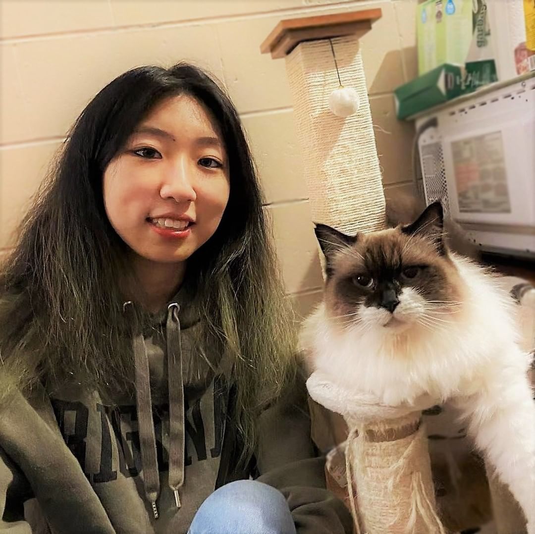 UNE JEUNE FEMME S’ÉLÈVE CONTRE LE DÉGRIFFAGE 🐱
Jingyuan Li est arrivée au Canada à l’âge de 15 ans. Dans le cadre de sa classe d’accueil, elle a fait un stage dans une clinique vétérinaire. Ce qu’elle a vu dans les coulisses de la clinique l’a marquée. «Les chats se réveillaient de la chirurgie avec des bandages à chaque patte, ils étaient incapables de marcher. Le vétérinaire m’avait alors expliqué que ce qu’on appelle «dégriffage» consiste en l’amputation du bout de chaque doigt de l’animal, soit la portion sur laquelle il s’appuie habituellement pour marcher! Je n’en revenais pas que des humains fassent ça à leurs animaux.» 

Aujourd’hui âgée de 21 ans, l'étudiante n’a rien perdu de son indignation. « J’ai fait signer la nouvelle pétition à mes professeurs, ma famille, et mes amis. La boutique pour animaux de mon quartier a accepté de partager la pétition; c’est une belle victoire! » 

Faites comme Jingyuan! Signez et partagez la pétition contre le dégriffage et les autres chirurgies de convenance pratiquées sur les animaux de compagnie au Québec. *LIEN DANS NOTRE BIO

Nous avons jusqu’au 17 janvier pour signer, ne tardez pas! 

// 
A YOUNG WOMAN ADVOCATES AGAINST DECLAWING 
Jingyuan Li arrived in Canada when she was 15 years old. As part of her reception class, she did an internship in a local veterinary clinic and what she saw behind the scenes there made an impression. “There were many cats waking up from declawing surgery. They had bandages on every paw and were unable to walk. The vet explained that what is called “declawing” is actually the amputation of the tip of each of the animal’s fingers, the ones they walk on! I couldn't believe that humans would do this to their animals.” 

Now 21 years old, the student has lost none of her indignation. “I've gotten my teachers, my whole family and my friends to sign the new petition. The pet store in my neighbourhood agreed to share the petition: that’s a great victory!” 

Please do as Jingyuan did! Sign and share the petition against declawing and other non-therapeutic surgeries on animals in Quebec. LINK IN BIO. We have until January 17 to sign. Act now!