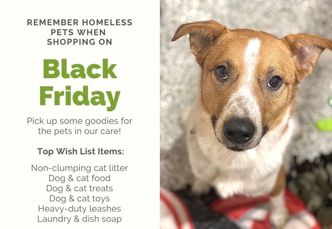 While out shopping, or adding things to your online cart, consider picking up something for the pets at Cascades Humane Society. If you need to get an item for your own pet, stop by local stores like @summitpetsupply or @petsuppliesplus and grab something extra for a pet in need. Thank you!