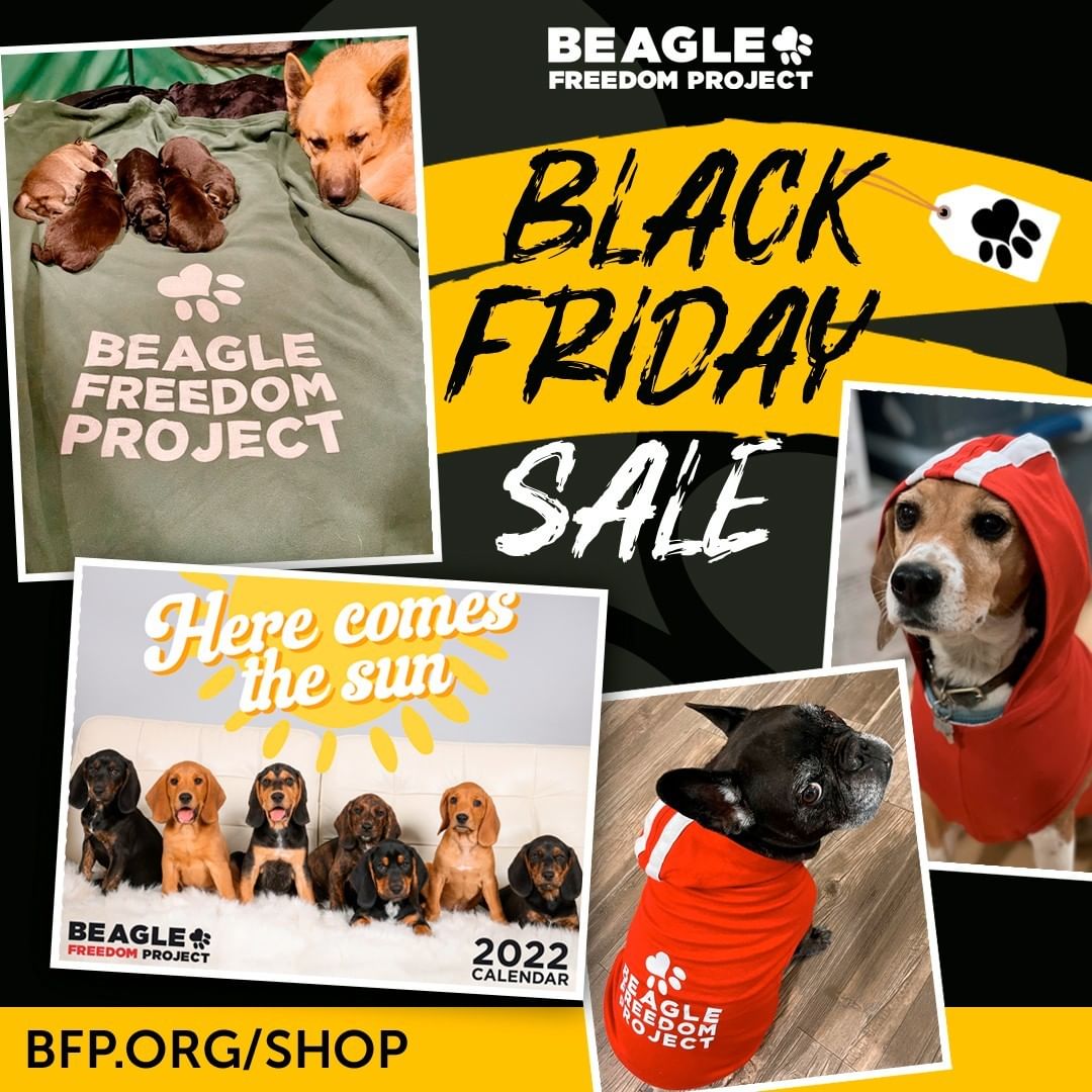 Help us save more lives by shopping our Black Friday sale! Many items are up to 25% off. No discount code needed and you will see the discount applied at checkout: BFP.ORG/Shop.

For a discount on our 2022 calendar use discount code: calendar. Sale runs until Monday at 11:59 PM Pacific.

________________________

We are also @BFPCanada and @CrueltyCutter. <a target='_blank' href='https://www.instagram.com/explore/tags/BlackFriday/'>#BlackFriday</a> <a target='_blank' href='https://www.instagram.com/explore/tags/AnimalTesting/'>#AnimalTesting</a> <a target='_blank' href='https://www.instagram.com/explore/tags/CrueltyFree/'>#CrueltyFree</a> <a target='_blank' href='https://www.instagram.com/explore/tags/Beagle/'>#Beagle</a> <a target='_blank' href='https://www.instagram.com/explore/tags/BlackFridaySale/'>#BlackFridaySale</a>