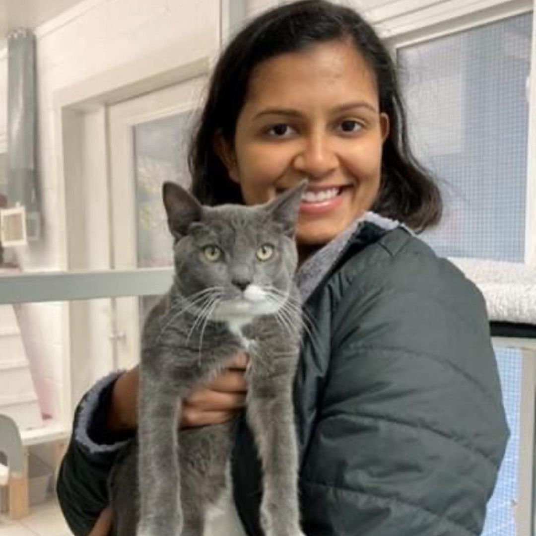 Congratulations Robbie, Guinevre, Sundance and Talia on their recent adoptions....We wish them the best with their new families! ❤️ ❤️ ❤️ <a target='_blank' href='https://www.instagram.com/explore/tags/cleartheshelters/'>#cleartheshelters</a> <a target='_blank' href='https://www.instagram.com/explore/tags/desocuparlosalbergues/'>#desocuparlosalbergues</a> <a target='_blank' href='https://www.instagram.com/explore/tags/igoinghome/'>#igoinghome</a> <a target='_blank' href='https://www.instagram.com/explore/tags/myforeverhome/'>#myforeverhome</a> <a target='_blank' href='https://www.instagram.com/explore/tags/homesweethome/'>#homesweethome</a> <a target='_blank' href='https://www.instagram.com/explore/tags/littleshelteranimalrescue/'>#littleshelteranimalrescue</a> <a target='_blank' href='https://www.instagram.com/explore/tags/94years/'>#94years</a>  <a target='_blank' href='https://www.instagram.com/explore/tags/savinglives/'>#savinglives</a> <a target='_blank' href='https://www.instagram.com/explore/tags/huntington/'>#huntington</a> <a target='_blank' href='https://www.instagram.com/explore/tags/longisland/'>#longisland</a> <a target='_blank' href='https://www.instagram.com/explore/tags/nyc/'>#nyc</a>