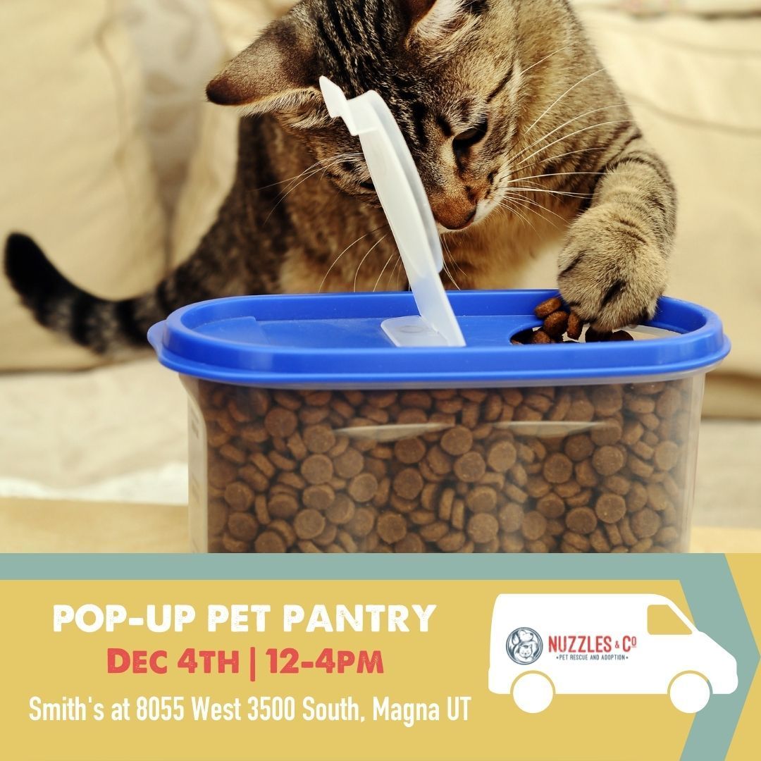 Calling all community cat caretakers! We're exactly one week away from our last Pop-Up Pet Pantry of 2021! Stop by the Nuzzles & Co. van at the Magna Smith's parking lot on December 4th from 12-4pm to get free supplies to keep your kitties happy and healthy this holiday season. As per usual, we will have dog food and supplies as well during this pantry as well! ⠀
⠀
<a target='_blank' href='https://www.instagram.com/explore/tags/PopUpPetPantry/'>#PopUpPetPantry</a> <a target='_blank' href='https://www.instagram.com/explore/tags/NuzzlesAndCo/'>#NuzzlesAndCo</a> <a target='_blank' href='https://www.instagram.com/explore/tags/WhereLoveWins/'>#WhereLoveWins</a>