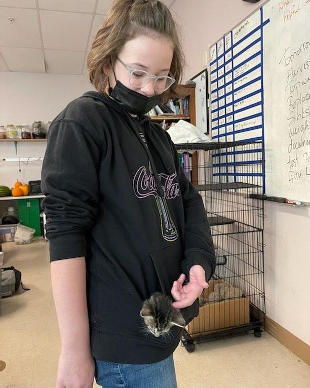 We want to thank Lu Boren’s Veterinary Science Class at Escalante Middle School for fostering a mama cat and her four babies! Students have been helping to carry out badic care, doing daily health and behavioral observations, tracking weights, and administering vaccines and medication 🐱 

This is a wonderful opportunity for students to learn about animal welfare and we are so grateful for their help with this litter! 

<a target='_blank' href='https://www.instagram.com/explore/tags/lpchs/'>#lpchs</a> <a target='_blank' href='https://www.instagram.com/explore/tags/animalwelfare/'>#animalwelfare</a> <a target='_blank' href='https://www.instagram.com/explore/tags/fosteranimals/'>#fosteranimals</a> <a target='_blank' href='https://www.instagram.com/explore/tags/mamacat/'>#mamacat</a> <a target='_blank' href='https://www.instagram.com/explore/tags/veterinaryscience/'>#veterinaryscience</a>