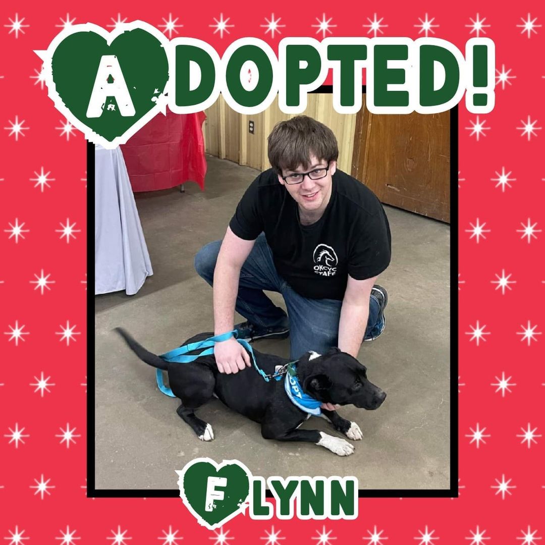 🥰HAPPY TAIL🥰 Congrats to Flynn on finding his happily ever after today! 🥳 
<a target='_blank' href='https://www.instagram.com/explore/tags/rescue/'>#rescue</a> <a target='_blank' href='https://www.instagram.com/explore/tags/dontshopadopt/'>#dontshopadopt</a> <a target='_blank' href='https://www.instagram.com/explore/tags/mixedbreedpurelove/'>#mixedbreedpurelove</a> <a target='_blank' href='https://www.instagram.com/explore/tags/foster/'>#foster</a> <a target='_blank' href='https://www.instagram.com/explore/tags/fosteringsaveslives/'>#fosteringsaveslives</a> <a target='_blank' href='https://www.instagram.com/explore/tags/bethechange/'>#bethechange</a> <a target='_blank' href='https://www.instagram.com/explore/tags/onebyoneuntiltherearenone/'>#onebyoneuntiltherearenone</a> 

🎄 shelterfriends.org 🎄