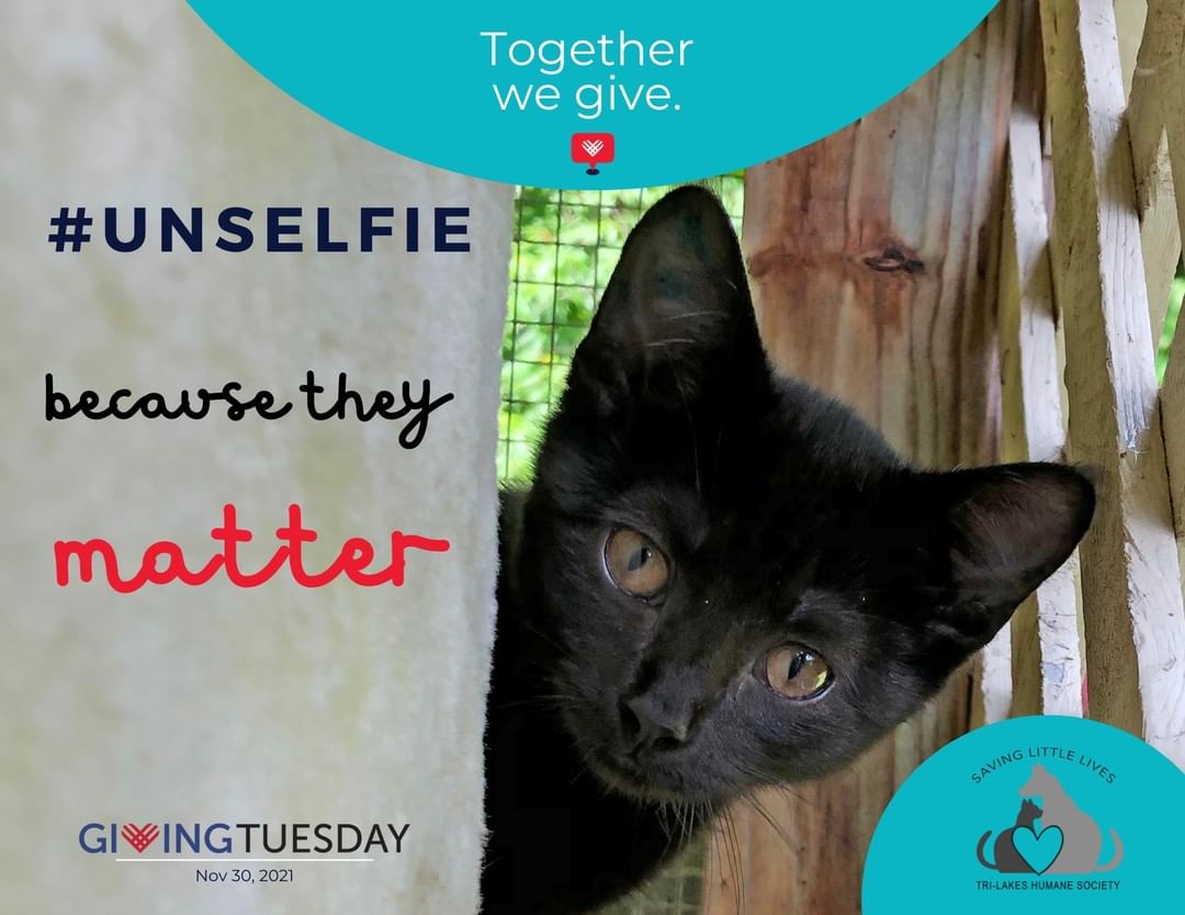 We are so grateful for the generosity of our community and your capacity for kindness. ❤ Together, we change the lives of animals in the Tri-Lakes region. We'd like to celebrate your generosity and what better way than sharing your reasons for giving?! You never know, you might just inspire someone else. Together, let's make GIVING contagious this holiday season and share un-selfies. Please consider sharing your reason for giving and don't forget to tag us, so we can see what means the most to you. We hope to be able to share these reasons, celebrate your kindness, and paw it forward.🐾 

Don't forget, all donations made on Facebook for Giving Tuesday (11/30/21) will be matched up to $8 million! There's never been a better time to spread the spirit of giving to the animals.  <a target='_blank' href='https://www.instagram.com/explore/tags/unselfie/'>#unselfie</a> <a target='_blank' href='https://www.instagram.com/explore/tags/beacausetheymatter/'>#beacausetheymatter</a> <a target='_blank' href='https://www.instagram.com/explore/tags/GivingTuesday/'>#GivingTuesday</a> <a target='_blank' href='https://www.instagram.com/explore/tags/adirondacks/'>#adirondacks</a> <a target='_blank' href='https://www.instagram.com/explore/tags/adk/'>#adk</a> <a target='_blank' href='https://www.instagram.com/explore/tags/adironcats/'>#adironcats</a> <a target='_blank' href='https://www.instagram.com/explore/tags/adkcat/'>#adkcat</a> <a target='_blank' href='https://www.instagram.com/explore/tags/dackcat/'>#dackcat</a> <a target='_blank' href='https://www.instagram.com/explore/tags/savinglittlelives/'>#savinglittlelives</a> <a target='_blank' href='https://www.instagram.com/explore/tags/trilakeshumanesociety/'>#trilakeshumanesociety</a> <a target='_blank' href='https://www.instagram.com/explore/tags/saranaclake/'>#saranaclake</a> <a target='_blank' href='https://www.instagram.com/explore/tags/saranaclakeny/'>#saranaclakeny</a> <a target='_blank' href='https://www.instagram.com/explore/tags/tupperlake/'>#tupperlake</a> <a target='_blank' href='https://www.instagram.com/explore/tags/tupperlakeny/'>#tupperlakeny</a> <a target='_blank' href='https://www.instagram.com/explore/tags/lakeplacid/'>#lakeplacid</a> <a target='_blank' href='https://www.instagram.com/explore/tags/lakeplacidny/'>#lakeplacidny</a> <a target='_blank' href='https://www.instagram.com/explore/tags/pawitforward/'>#pawitforward</a> <a target='_blank' href='https://www.instagram.com/explore/tags/powerofgiving/'>#powerofgiving</a> <a target='_blank' href='https://www.instagram.com/explore/tags/capacityforkindness/'>#capacityforkindness</a>