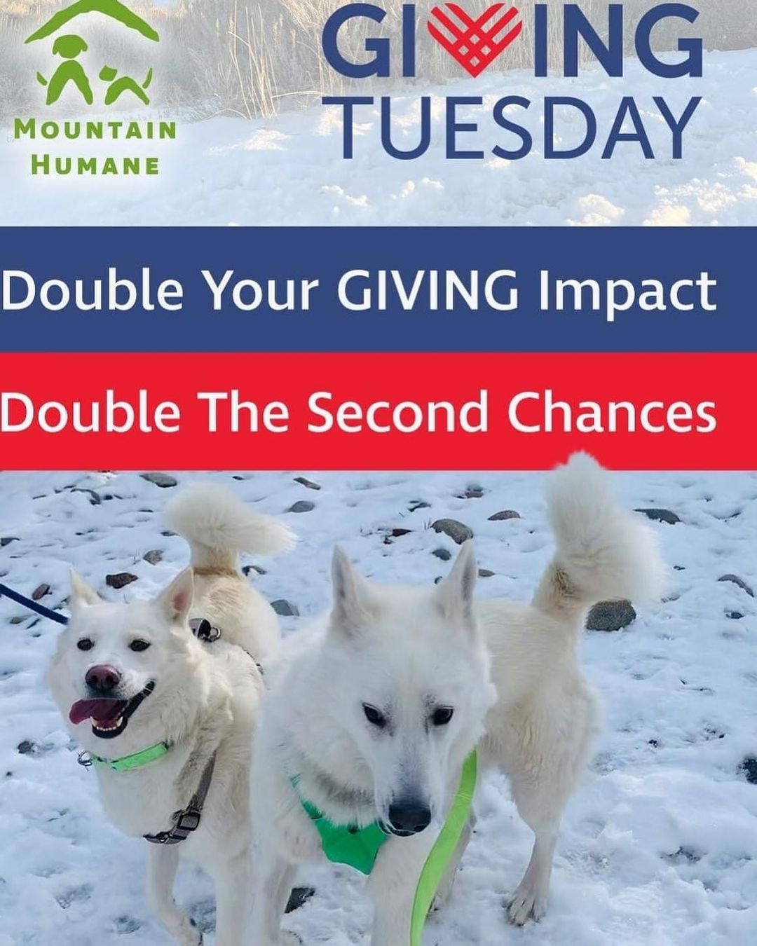 Giving Tuesday is November 30th but there’s no reason to wait because we have a BIG $20,000 challenge! A very generous anonymous donor will double every gift from now until midnight on November 30th and EVERY donation will count towards the match.
See Giving Tuesday donation link in bio.