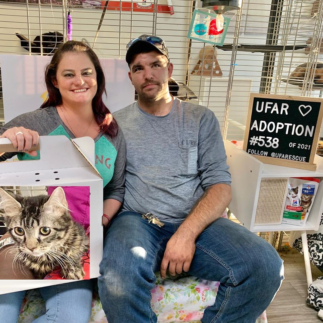 Happy Tails!!😻🙏🏻🐾❤️😍🎉

Congratulations on your new home Fiuk!!❤️ We are so excited to know that now you have a family to love and care for you! We wish you a smooth transition to your new place!!🙏🏻🐾

We love you little boy!! And thank you <a target='_blank' href='https://www.instagram.com/explore/tags/animallovers/'>#animallovers</a> for adopting a shelter pet! It means the world to Fiuk!❤️

.
.
<a target='_blank' href='https://www.instagram.com/explore/tags/catshelter/'>#catshelter</a> <a target='_blank' href='https://www.instagram.com/explore/tags/adoptdontshop/'>#adoptdontshop</a> <a target='_blank' href='https://www.instagram.com/explore/tags/shelterpet/'>#shelterpet</a> <a target='_blank' href='https://www.instagram.com/explore/tags/fundraisenoteuthanaise/'>#fundraisenoteuthanaise</a> <a target='_blank' href='https://www.instagram.com/explore/tags/catsofnewtown/'>#catsofnewtown</a> <a target='_blank' href='https://www.instagram.com/explore/tags/gofundmedonation/'>#gofundmedonation</a> <a target='_blank' href='https://www.instagram.com/explore/tags/helpcats/'>#helpcats</a> <a target='_blank' href='https://www.instagram.com/explore/tags/refugeanimalier/'>#refugeanimalier</a> <a target='_blank' href='https://www.instagram.com/explore/tags/adoptionchat/'>#adoptionchat</a> <a target='_blank' href='https://www.instagram.com/explore/tags/helpdogs/'>#helpdogs</a> <a target='_blank' href='https://www.instagram.com/explore/tags/dogshelter/'>#dogshelter</a> <a target='_blank' href='https://www.instagram.com/explore/tags/benevoles/'>#benevoles</a> <a target='_blank' href='https://www.instagram.com/explore/tags/gattile/'>#gattile</a> <a target='_blank' href='https://www.instagram.com/explore/tags/rescuepet/'>#rescuepet</a> <a target='_blank' href='https://www.instagram.com/explore/tags/amoureuxdeschats/'>#amoureuxdeschats</a> <a target='_blank' href='https://www.instagram.com/explore/tags/adopteznachetezpas/'>#adopteznachetezpas</a> <a target='_blank' href='https://www.instagram.com/explore/tags/rescueanimal/'>#rescueanimal</a> <a target='_blank' href='https://www.instagram.com/explore/tags/catshelters/'>#catshelters</a> <a target='_blank' href='https://www.instagram.com/explore/tags/rescuecatsofinsta/'>#rescuecatsofinsta</a> <a target='_blank' href='https://www.instagram.com/explore/tags/adoptdontbuy/'>#adoptdontbuy</a> <a target='_blank' href='https://www.instagram.com/explore/tags/helpus/'>#helpus</a> <a target='_blank' href='https://www.instagram.com/explore/tags/animalshelter/'>#animalshelter</a> <a target='_blank' href='https://www.instagram.com/explore/tags/adoptacat/'>#adoptacat</a> <a target='_blank' href='https://www.instagram.com/explore/tags/catadoption/'>#catadoption</a> <a target='_blank' href='https://www.instagram.com/explore/tags/rescuekitties/'>#rescuekitties</a> <a target='_blank' href='https://www.instagram.com/explore/tags/catsanctuary/'>#catsanctuary</a> <a target='_blank' href='https://www.instagram.com/explore/tags/sheltercat/'>#sheltercat</a> <a target='_blank' href='https://www.instagram.com/explore/tags/benevolat/'>#benevolat</a> <a target='_blank' href='https://www.instagram.com/explore/tags/ufarescue/'>#ufarescue</a>