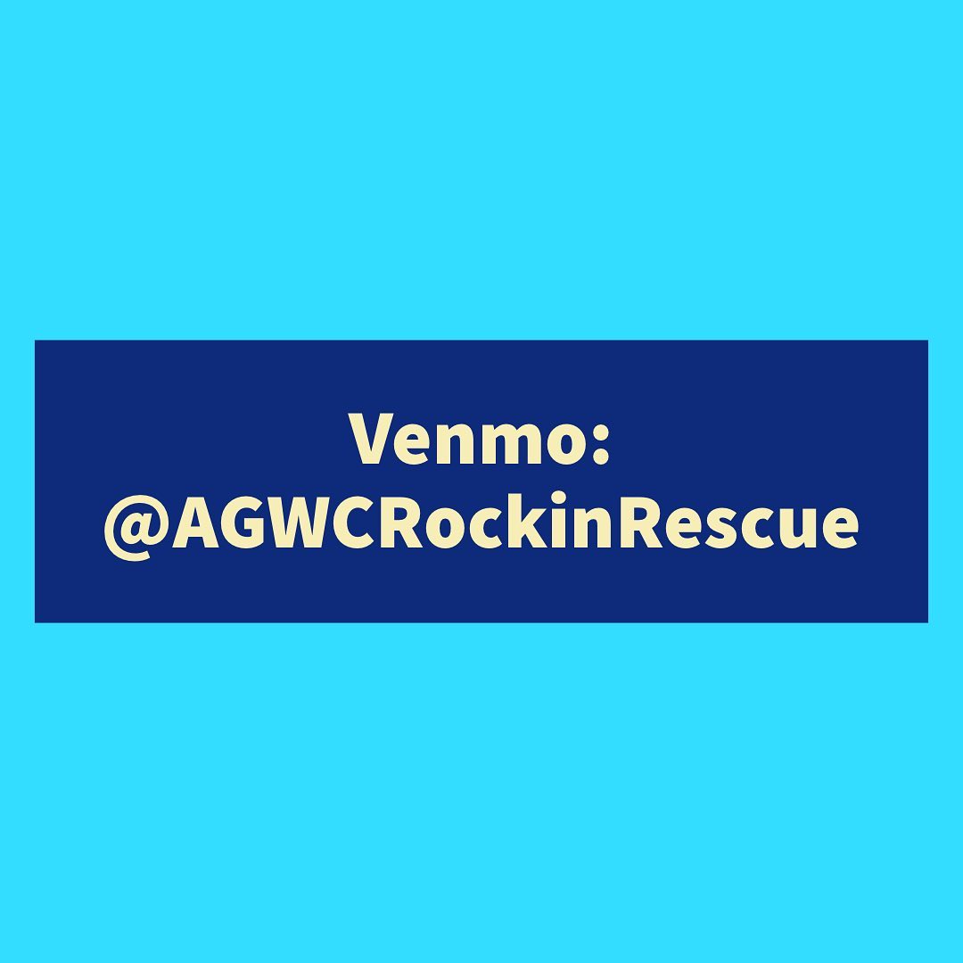 At AGWC Rockin' Rescue, our main mission is:
HELPING AND RESCUING AS MANY ANIMALS AS POSSIBLE.

Unfortunately our efforts to save animals require a lot of financial resources and we can't do what we do without your help. We get calls every single day about injured, sick, abused, neglected and abandoned animals that need rescue. 

We then take them in, provide medical care, healthy food and lots of love until they are ready to be adopted out to a wonderful family.

Please consider making a donation to AGWC Rockin' Rescue and help us keep up the important work that we have been doing for the community. No amount is too small and every dollar is much appreciated.

Please share.

<a target='_blank' href='https://www.instagram.com/explore/tags/GIVINGTUESDAY/'>#GIVINGTUESDAY</a> <a target='_blank' href='https://www.instagram.com/explore/tags/nonprofit/'>#nonprofit</a> <a target='_blank' href='https://www.instagram.com/explore/tags/agwcrockinrescue/'>#agwcrockinrescue</a> <a target='_blank' href='https://www.instagram.com/explore/tags/adoptdontshop/'>#adoptdontshop</a> <a target='_blank' href='https://www.instagram.com/explore/tags/animalrescue/'>#animalrescue</a> <a target='_blank' href='https://www.instagram.com/explore/tags/agwc/'>#agwc</a>