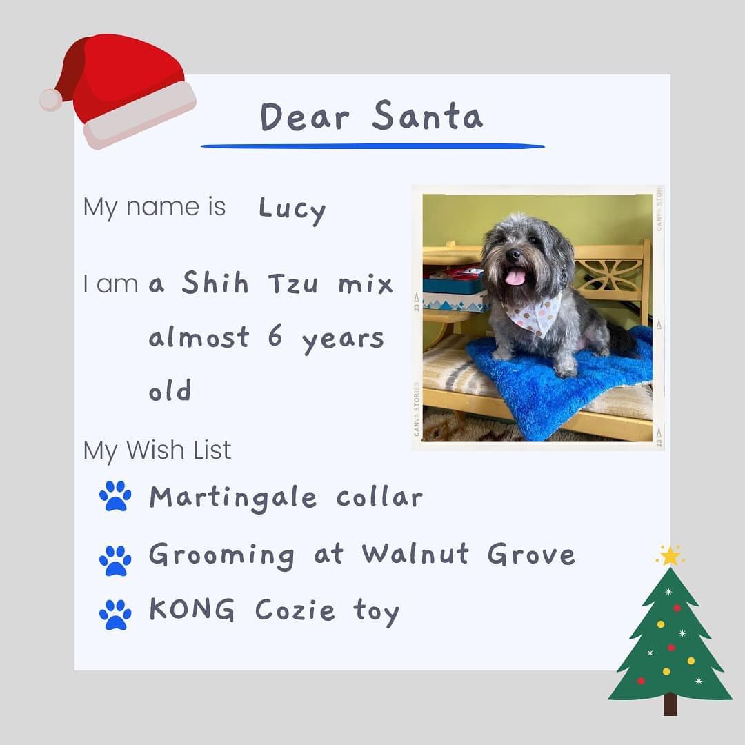 The shelter dogs have written their letters to Santa! 📬

While their number one wish is to be adopted and in a home, there are items that would make a difference in their stay at the shelter. 

With less than a month until Christmas, we are sharing their Wish Lists and hope to be able to give each dog a special gift! If the dog is adopted, their gift will be shared with any new dogs in the shelter. 

Love from, 
Jake, Buddy, Lucy, Casper & Troy!

<a target='_blank' href='https://www.instagram.com/explore/tags/shelterdogs/'>#shelterdogs</a> <a target='_blank' href='https://www.instagram.com/explore/tags/lettertosanta/'>#lettertosanta</a> <a target='_blank' href='https://www.instagram.com/explore/tags/rescuedogsofinstagram/'>#rescuedogsofinstagram</a> <a target='_blank' href='https://www.instagram.com/explore/tags/wishlist/'>#wishlist</a> <a target='_blank' href='https://www.instagram.com/explore/tags/dogs/'>#dogs</a> <a target='_blank' href='https://www.instagram.com/explore/tags/christmas/'>#christmas</a> <a target='_blank' href='https://www.instagram.com/explore/tags/santapaws/'>#santapaws</a> 
@kongcompany @bennybullys @walnutgroveboarding @justinspetstore @allcreaturescobourg @petvaluporthope @paulmacspets