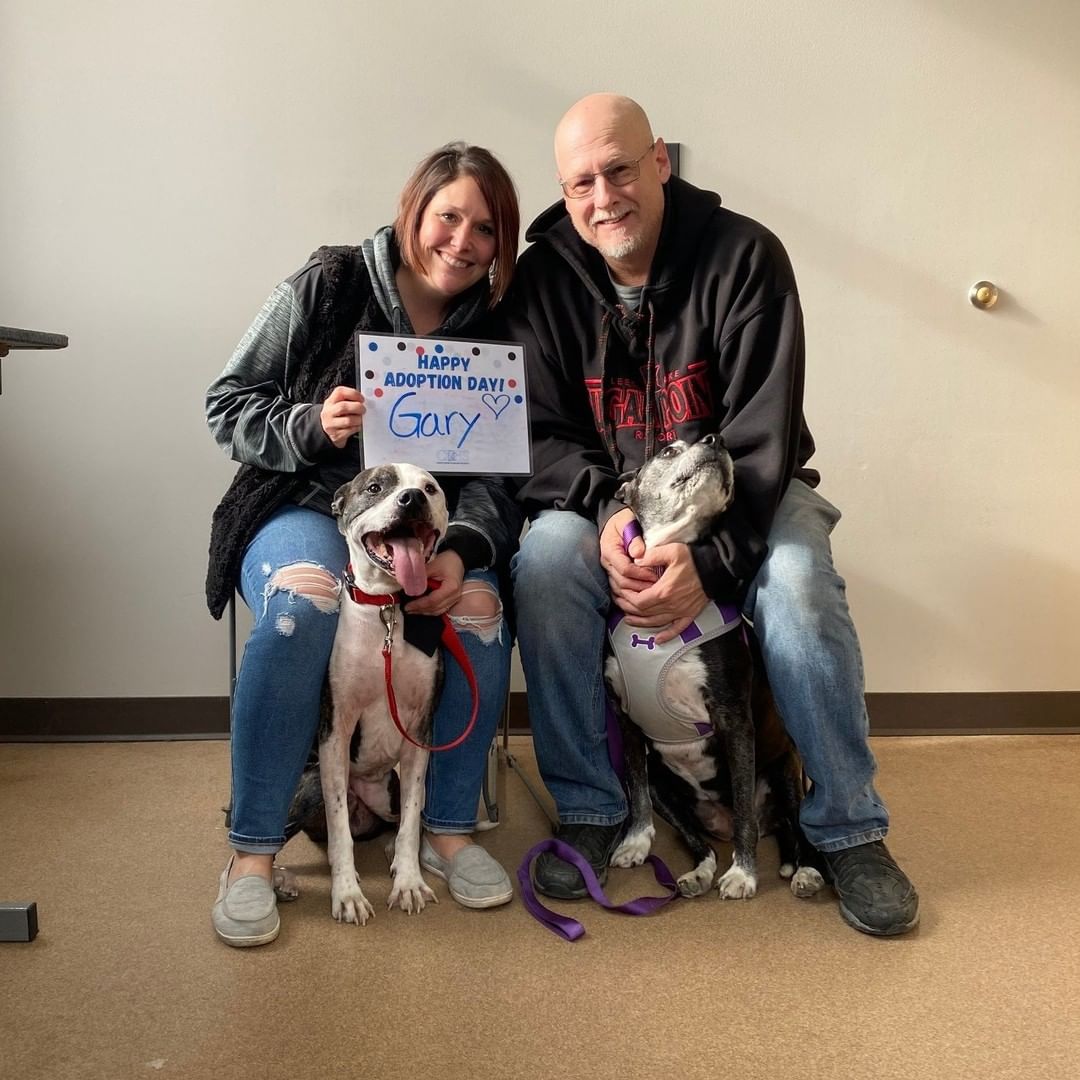 Adoption photo day is one of our favorites to share! 😍 Join us in congratulating all the happy families who adopted over the holiday weekend.