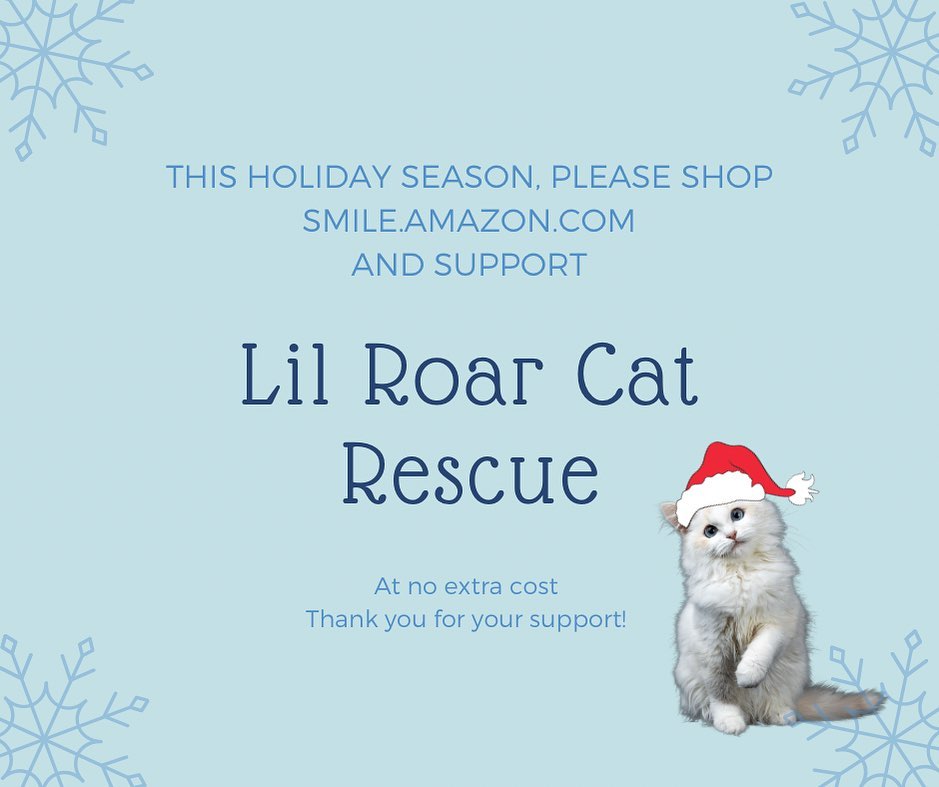 When holiday shopping, don’t forget to use Amazon Smile! Same products, same prices, same service - but Amazon gives back a percentage of sales back to Lil Roar Cat Rescue. Just make sure you check your settings so that we’re your designated charity. Thank you so much for your support! Happy Holidays!