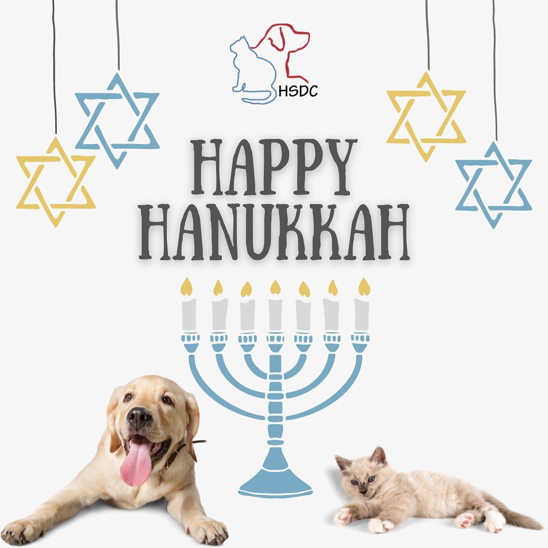 Happy Hanukkah to all those that celebrate!🕎