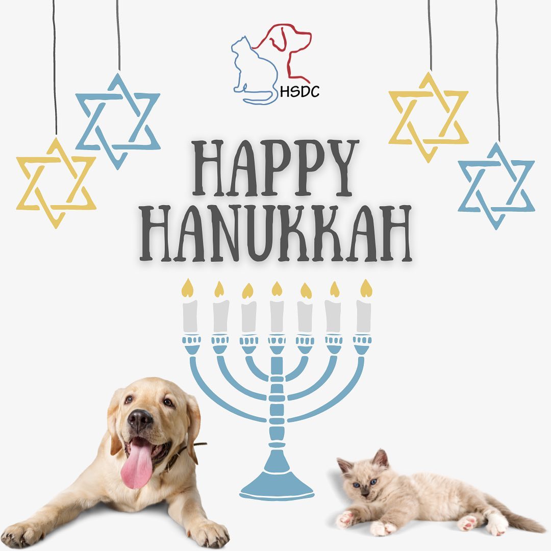 Happy Hanukkah to all those that celebrate!🕎