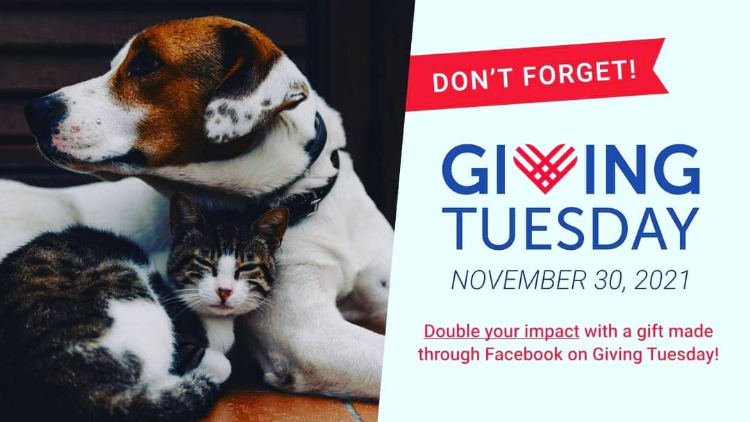https://www.facebook.com/104953821607548/posts/263993532370242/

It's Giving Tuesday. Any amount donated will be matched by Facebook.
 
Help us save more dogs from being euthanized, help us treat badly needed sick dogs, help us save senior dogs, help us take in unwanted dogs and cats, and find them homes.

TODAY’S THE DAY!! Donate now and DOUBLE your gift! This matching opportunity is available only through Facebook and only available on <a target='_blank' href='https://www.instagram.com/explore/tags/GivingTuesday/'>#GivingTuesday</a> starting at 8am! 
Please donate now and make TWICE the impact!

Adoption fees help to cover the necessities to help an otherwise healthy animal but they don’t do it all, that’s why we need your help now! 

WE DO NOT JUST SAVE THE HEALTHY, EASILY ADOPTABLE ONES, 
we take the seniors, the moms and puppies, and the sick ones too! We save 
the $1,200 heartworm treatment ones, 
the $3,000 he’s-worth-it-so-we’ll-pay for-the-behavior-training ones and 
the $6,000 unforeseen medical bill ones. 
We’re a RESCUE and so we rescue as many as we can! 

Your gift right here, right now, on <a target='_blank' href='https://www.instagram.com/explore/tags/GivingTuesday/'>#GivingTuesday</a> will help us save

TWICE as many cats and dogs from being euthanized
TWICE as many sick animals desperately needing treatment
TWICE as many senior dogs
TWICE as many neglected, abused, and abandoned pets

PLEASE GIVE AS GENEROUSLY AS YOU CAN!
Not sure what to give? Here is how your gift will help
$25 will give food in foster care for a month 
$50 will provide one (necessary) heartworm test 
$100 will cover basic vaccinations and dewormer 
$250 will ensure a spot on the transport bus and off of the euthanasia list!

Want to help even more? Help us make the most of this match by sharing with your friends, family, and anyone else you know that would like to help save an animal’s life!

<a target='_blank' href='https://www.instagram.com/explore/tags/GivingTuesday2021/'>#GivingTuesday2021</a> <a target='_blank' href='https://www.instagram.com/explore/tags/savetheanimals/'>#savetheanimals</a> <a target='_blank' href='https://www.instagram.com/explore/tags/adoptdontshop/'>#adoptdontshop</a> <a target='_blank' href='https://www.instagram.com/explore/tags/donatetoday/'>#donatetoday</a> <a target='_blank' href='https://www.instagram.com/explore/tags/DonateToSave/'>#DonateToSave</a> <a target='_blank' href='https://www.instagram.com/explore/tags/helpussavedogslives/'>#helpussavedogslives</a> <a target='_blank' href='https://www.instagram.com/explore/tags/friendsforlifeanimalrescue/'>#friendsforlifeanimalrescue</a>