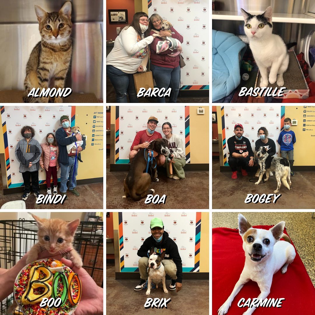 Homeward Bound 🎉🐾 45+ adoptions last week including long term dogs Confetti, Goldie & Pooh Bear! ❤️

<a target='_blank' href='https://www.instagram.com/explore/tags/adopted/'>#adopted</a> <a target='_blank' href='https://www.instagram.com/explore/tags/homewardbound/'>#homewardbound</a> <a target='_blank' href='https://www.instagram.com/explore/tags/shelterpets/'>#shelterpets</a> <a target='_blank' href='https://www.instagram.com/explore/tags/thankyou/'>#thankyou</a> <a target='_blank' href='https://www.instagram.com/explore/tags/adoptdontshop/'>#adoptdontshop</a> <a target='_blank' href='https://www.instagram.com/explore/tags/greatplainsfamily/'>#greatplainsfamily</a> <a target='_blank' href='https://www.instagram.com/explore/tags/greatplainsspca/'>#greatplainsspca</a>