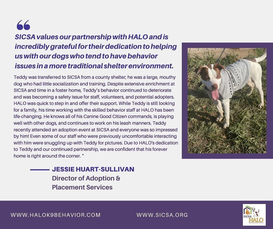 SICSA Pet Adoption and Wellness Center established a HALO partnership several years ago and this year, we incorporated weekly structured playgroups with select dogs. Together, we are able to provide SICSA valuable insight into a dog's behavior and offer training and behavior information. We have also had several of their dogs housed in our behavior facility for short periods of time so we can provide a thorough behavior and training assessment. We are grateful for SICSA's commitment to their dogs and their mission, which is 