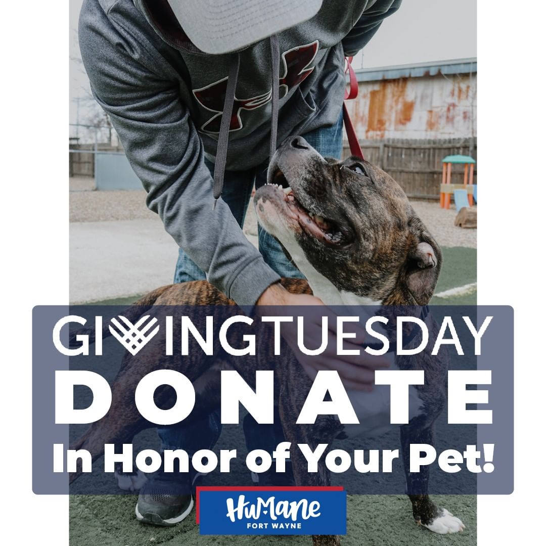 Do you have a purrfect pet or a special furry friend in your life? Make a difference this <a target='_blank' href='https://www.instagram.com/explore/tags/GivingTuesday/'>#GivingTuesday</a> with a donation In Honor Of Your Pet to Humane Fort Wayne! ❤️

We've helped over 1,600 cats and dogs just like yours find their forever homes this year, and your donation will help save the life of another shelter animal in need. Plus, today only, your gift will be matched by a variety of generous sponsors, which means your donation will be DOUBLED!

🐾 Donate online here: https://humanefw.org/donate/ or by phone (260-744-0454).

Thank you!

.
.
.
<a target='_blank' href='https://www.instagram.com/explore/tags/GivingTuesday2021/'>#GivingTuesday2021</a> <a target='_blank' href='https://www.instagram.com/explore/tags/Donate/'>#Donate</a> <a target='_blank' href='https://www.instagram.com/explore/tags/HumaneFW/'>#HumaneFW</a> <a target='_blank' href='https://www.instagram.com/explore/tags/FortWayne/'>#FortWayne</a> <a target='_blank' href='https://www.instagram.com/explore/tags/FortWayneIndiana/'>#FortWayneIndiana</a> <a target='_blank' href='https://www.instagram.com/explore/tags/Adopt/'>#Adopt</a> <a target='_blank' href='https://www.instagram.com/explore/tags/AnimalShelter/'>#AnimalShelter</a> <a target='_blank' href='https://www.instagram.com/explore/tags/ShelterPet/'>#ShelterPet</a> <a target='_blank' href='https://www.instagram.com/explore/tags/SpayNeuterClinic/'>#SpayNeuterClinic</a>