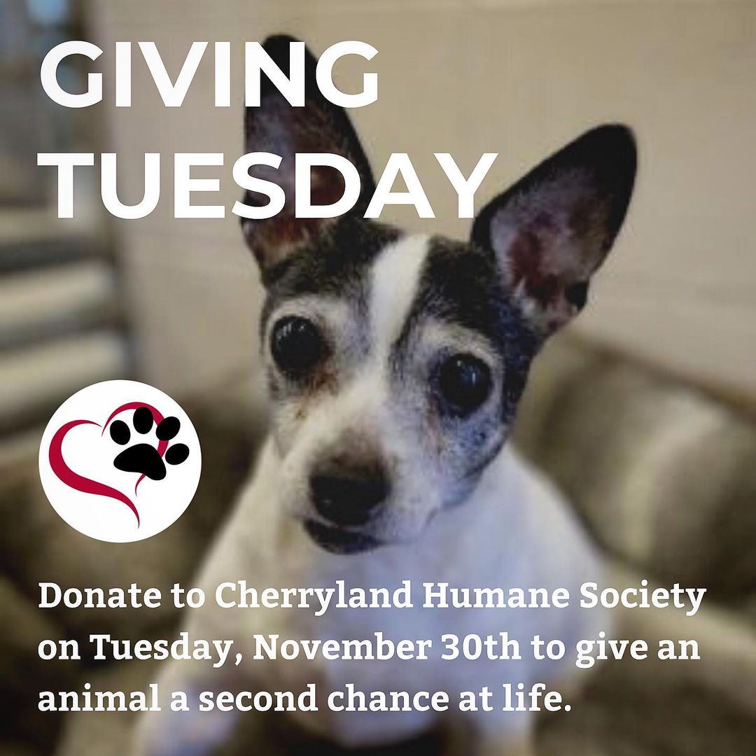 Tomorrow is the global day of giving! 🌎 
We are so grateful to be a part of this amazing movement of generosity and we would not be where we are today without all of you, our wonderful supporters! ❤️

This year for Giving Tuesday our goal is to raise $10,000 for our emergency vet fund. Never really knowing what each day will bring, having friends like you who are there to help us out means more than you could know. ❤️🐕 🐈‍⬛ 

<a target='_blank' href='https://www.instagram.com/explore/tags/cherrylandhumanesociety/'>#cherrylandhumanesociety</a> <a target='_blank' href='https://www.instagram.com/explore/tags/givingtuesday/'>#givingtuesday</a> <a target='_blank' href='https://www.instagram.com/explore/tags/givethanks/'>#givethanks</a> <a target='_blank' href='https://www.instagram.com/explore/tags/donation/'>#donation</a> <a target='_blank' href='https://www.instagram.com/explore/tags/support/'>#support</a> <a target='_blank' href='https://www.instagram.com/explore/tags/community/'>#community</a> <a target='_blank' href='https://www.instagram.com/explore/tags/communitysupport/'>#communitysupport</a> <a target='_blank' href='https://www.instagram.com/explore/tags/animalsinneed/'>#animalsinneed</a> <a target='_blank' href='https://www.instagram.com/explore/tags/petlovers/'>#petlovers</a> <a target='_blank' href='https://www.instagram.com/explore/tags/emergencyfund/'>#emergencyfund</a> <a target='_blank' href='https://www.instagram.com/explore/tags/emergencyvet/'>#emergencyvet</a>