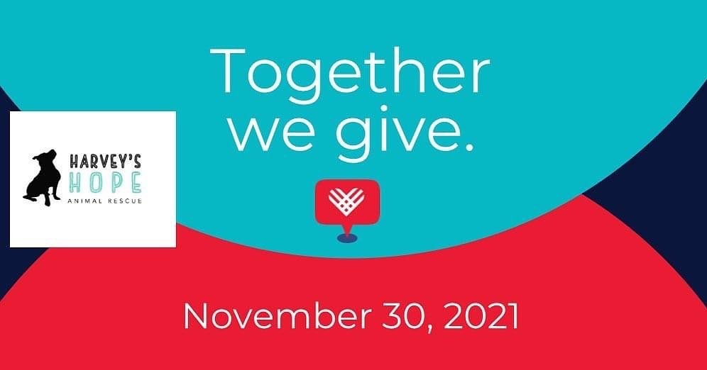 𝗧𝗢𝗚𝗘𝗧𝗛𝗘𝗥 𝗪𝗘 𝗚𝗜𝗩𝗘. 
Give hope. Give love. Give life. 
2021 proved to be a challenging year for dogs and puppies facing neglect, abuse and abandonment. One constant has been <a target='_blank' href='https://www.instagram.com/explore/tags/harveyshope/'>#harveyshope</a>. Your support has allowed us to build a strong rescue community, with the ability to save more than 1,100 lives. But we still need your help. Just when it’s needed most, your gift on <a target='_blank' href='https://www.instagram.com/explore/tags/GivingTuesday/'>#GivingTuesday</a> will help us provide transportion and isolation costs for pups we rescue from southern states over the next few months. Join us on November 30, 2021, or get a head start and donate today.
<a target='_blank' href='https://www.instagram.com/explore/tags/givingtuesday2021/'>#givingtuesday2021</a> <a target='_blank' href='https://www.instagram.com/explore/tags/hhar/'>#hhar</a> <a target='_blank' href='https://www.instagram.com/explore/tags/harveyshopeanimalrescue/'>#harveyshopeanimalrescue</a> <a target='_blank' href='https://www.instagram.com/explore/tags/rescuesupport/'>#rescuesupport</a> <a target='_blank' href='https://www.instagram.com/explore/tags/weareHHAR/'>#weareHHAR</a> <a target='_blank' href='https://www.instagram.com/explore/tags/giveback/'>#giveback</a>