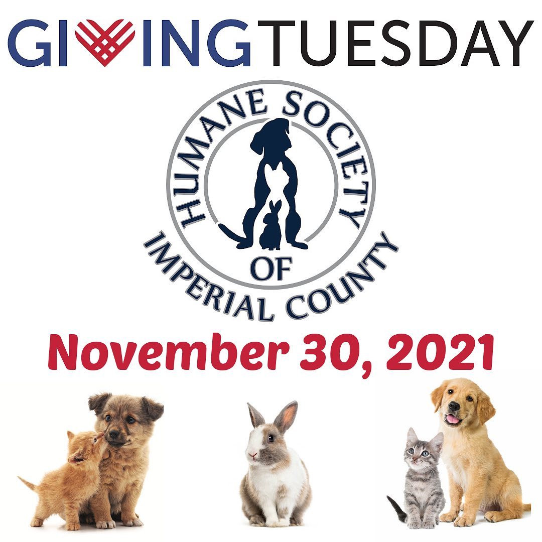 It's that time again and <a target='_blank' href='https://www.instagram.com/explore/tags/GivingTuesday/'>#GivingTuesday</a> is almost here! Please help us to raise funds for the HUNDREDS of homeless fur-kids in our care! All donations are greatly appreciated and every dollar will go a long way! Remember, all donations made on the day of GivingTuesday are eligible for matching. Please share with all your friends and family, and invite them to donate and share as well! THANK YOU all so much! 🐾❤️

GivingTuesday fundraiser link: ⬇️
https://www.facebook.com/donate/617108956225946/617108979559277/

If you would like us to send you the link, please send us a DM.