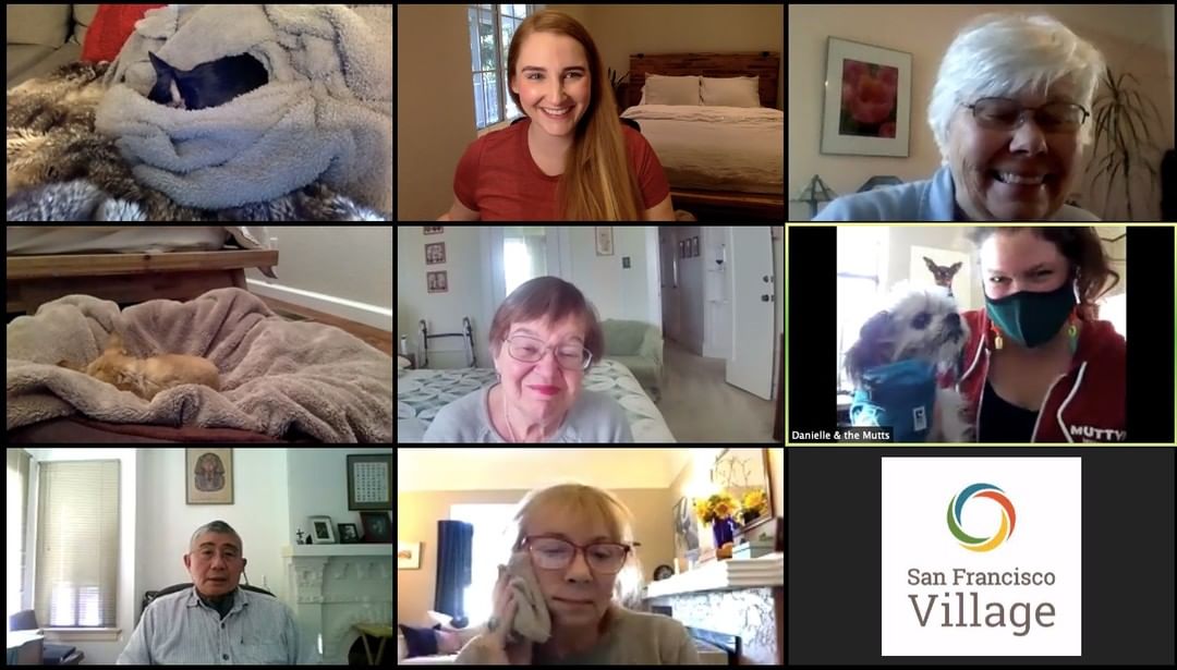 <a target='_blank' href='https://www.instagram.com/explore/tags/24HoursOfGratitude/'>#24HoursOfGratitude</a> - Virtual Cuddle Clubs! Virtual Cuddle Clubs bring together senior citizens and senior dogs on Zoom. Woof, woof, am I on mute? As much as we love staring at our computer screens, we are thrilled to have Cuddle Clubs back in person in 2022!! <a target='_blank' href='https://www.instagram.com/explore/tags/GivingTuesday/'>#GivingTuesday</a> You can donate now to our matching campaign! Link in bio.