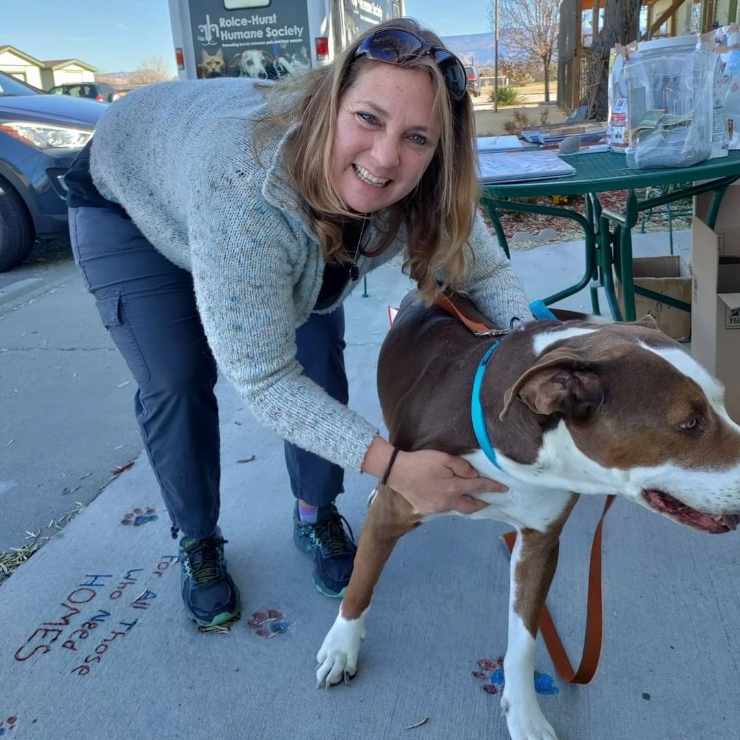 A grand total of 24 pets found homes for the holidays yesterday during our $58 Home for the Holidays special! What a day! 🎉

Pictured: Ham, Voodoo & Bones, Zuko & Rizzle, Bowser, Little Pumpkin, Thor, Mama, La La, Wrigley, and Cowboy!

See who's still patiently waiting for a home at our available pets page (link in bio!)

<a target='_blank' href='https://www.instagram.com/explore/tags/blackfriday/'>#blackfriday</a> <a target='_blank' href='https://www.instagram.com/explore/tags/adopted/'>#adopted</a> <a target='_blank' href='https://www.instagram.com/explore/tags/happytails/'>#happytails</a> <a target='_blank' href='https://www.instagram.com/explore/tags/morethanashelter/'>#morethanashelter</a> <a target='_blank' href='https://www.instagram.com/explore/tags/animalshelter/'>#animalshelter</a> <a target='_blank' href='https://www.instagram.com/explore/tags/humanesociety/'>#humanesociety</a> <a target='_blank' href='https://www.instagram.com/explore/tags/grandjunction/'>#grandjunction</a> <a target='_blank' href='https://www.instagram.com/explore/tags/westerncolorado/'>#westerncolorado</a>