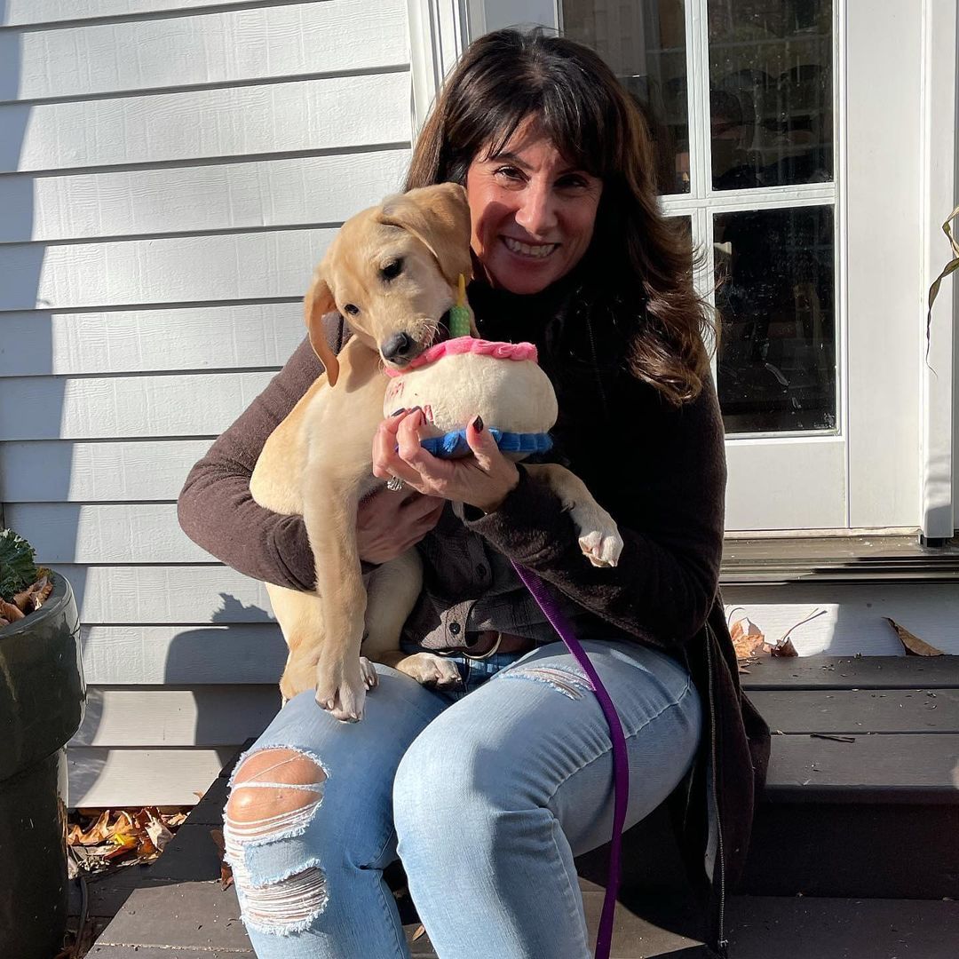 Adopted!! 💕

Pixie Stick found her forever home this week! Sweet life for Pixie! ❤️💕 She has a new Mom, new home and a new big fur brother, Sammy! 😍 Nothing but the best for this little one! Thank you Holly for fostering and helping her find the perfect family! 💕
••

Consider fostering or adopting oneloveanimalrescue.org
••

<a target='_blank' href='https://www.instagram.com/explore/tags/OneLoveAnimalRescue/'>#OneLoveAnimalRescue</a> <a target='_blank' href='https://www.instagram.com/explore/tags/Adopt/'>#Adopt</a> <a target='_blank' href='https://www.instagram.com/explore/tags/AdoptDontShop/'>#AdoptDontShop</a> <a target='_blank' href='https://www.instagram.com/explore/tags/Adoption/'>#Adoption</a> <a target='_blank' href='https://www.instagram.com/explore/tags/AdoptDogs/'>#AdoptDogs</a> <a target='_blank' href='https://www.instagram.com/explore/tags/AdoptDontBuy/'>#AdoptDontBuy</a> <a target='_blank' href='https://www.instagram.com/explore/tags/AdoptDontBreed/'>#AdoptDontBreed</a> <a target='_blank' href='https://www.instagram.com/explore/tags/Rescue/'>#Rescue</a> <a target='_blank' href='https://www.instagram.com/explore/tags/RescueDog/'>#RescueDog</a> <a target='_blank' href='https://www.instagram.com/explore/tags/ForeverFamily/'>#ForeverFamily</a> <a target='_blank' href='https://www.instagram.com/explore/tags/RescueDogsOfInstagram/'>#RescueDogsOfInstagram</a> <a target='_blank' href='https://www.instagram.com/explore/tags/Rescued/'>#Rescued</a> <a target='_blank' href='https://www.instagram.com/explore/tags/RescueDogsRule/'>#RescueDogsRule</a> <a target='_blank' href='https://www.instagram.com/explore/tags/RescueDogsOfIG/'>#RescueDogsOfIG</a> <a target='_blank' href='https://www.instagram.com/explore/tags/Foster/'>#Foster</a> <a target='_blank' href='https://www.instagram.com/explore/tags/RescuePetsOfInstagram/'>#RescuePetsOfInstagram</a>  <a target='_blank' href='https://www.instagram.com/explore/tags/FosterDog/'>#FosterDog</a> <a target='_blank' href='https://www.instagram.com/explore/tags/ShelterDog/'>#ShelterDog</a> <a target='_blank' href='https://www.instagram.com/explore/tags/StrayDog/'>#StrayDog</a>  <a target='_blank' href='https://www.instagram.com/explore/tags/OlarSave/'>#OlarSave</a>