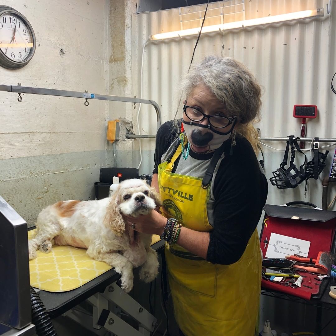 <a target='_blank' href='https://www.instagram.com/explore/tags/24HoursOfGratitude/'>#24HoursOfGratitude</a> - Dog baths! Our mutts sometimes come to us in rough shape—and we are so thankful they get a Muttville makeover by our grooming volunteers! With a fresh wash and blowout our pups feel (and look!) better the day they arrive. <a target='_blank' href='https://www.instagram.com/explore/tags/GivingTuesday/'>#GivingTuesday</a> Donate now to our matching campaign! Link in bio.