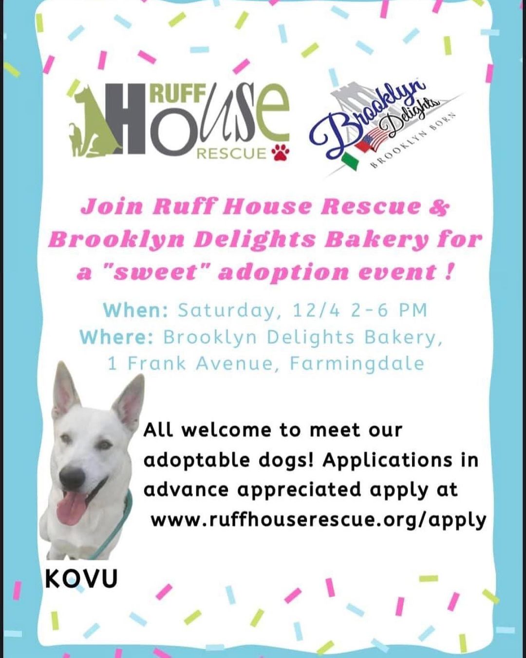 This Saturday, Dec 4th, we will have an adoption event at @brooklyndelightsbakery in Farmingdale! 

A Saturday filled with puppy kisses 🐶 and delicious treats 🍪 for the humans thanks to Brooklyn delights!! 

🌟 All are invited to meet our adoptable dogs! 🌟 

If you are interested in taking home a dog at the event either fostering or adopting - you will need to have an application completed🏡! Please submit an application on our website ruffhouserescue.org/apply 💻 

Please share!