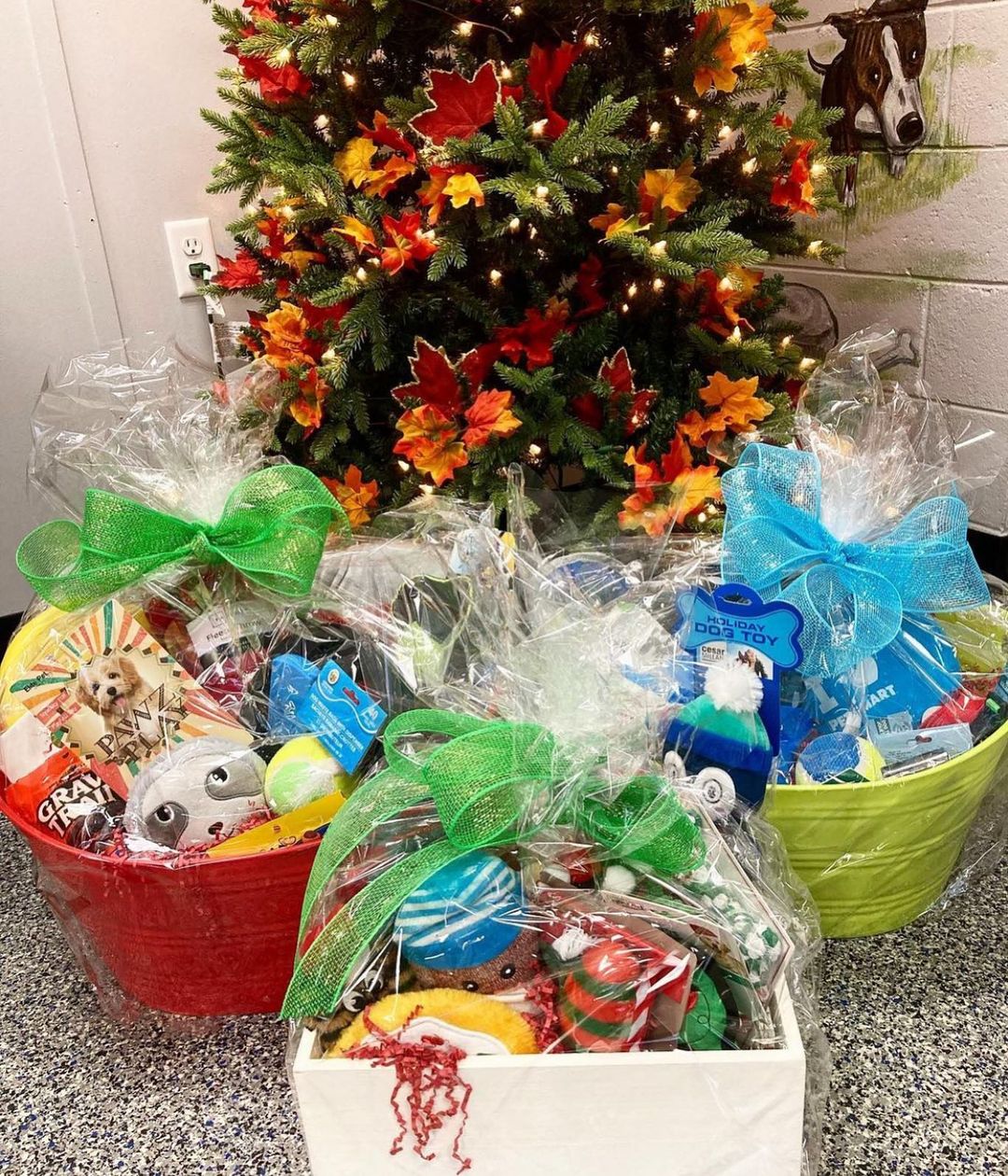 OUR ONLINE WINTER RAFFLE HAS LAUNCHED! Buy your $20 tickets by clicking the link in our bio for a chance to win 1 of 15 handmade baskets. EVERY DOLLAR MADE GOES DIRECTLY TO THE ANIMALS. We will have a live Facebook drawing at 7pm on 12/15. It allows us to continue and rescue from kill shelters, provide vetting, boarding, full time staff to care for them, heat, etc. PLEASE SHARE! 🐾🐶❤️🐱