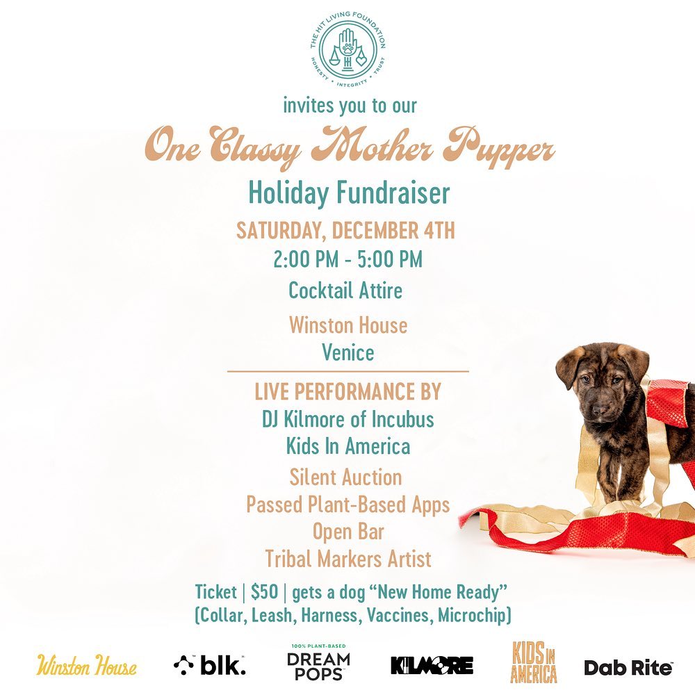 Only one week until our “One Classy Mother Pupper” holiday fundraiser! Buy your ticket now to support our rescue pups 🐶✨❄️

Please join us December 4th, from 2-5 PM at the @winstonhouse in Venice and help raise some much needed funds to keep our life saving work moving forward into 2022! A $50 ticket will get a dog “New Home Ready” providing vaccines, microchip, leash, harness, tag and collar. Dress in your cocktail best for a live performance by @djkilmore of @incubusofficial and @kidsinamericaus, passed plant based appetizers, open bar, raffle table, silent auction, @tribalmarkers artist and more! Visit hitlivingfoundation.org for more info (link in bio) 💛

<a target='_blank' href='https://www.instagram.com/explore/tags/hitliving/'>#hitliving</a> <a target='_blank' href='https://www.instagram.com/explore/tags/foundlove/'>#foundlove</a> <a target='_blank' href='https://www.instagram.com/explore/tags/fundraiser/'>#fundraiser</a> <a target='_blank' href='https://www.instagram.com/explore/tags/holidayseason/'>#holidayseason</a> <a target='_blank' href='https://www.instagram.com/explore/tags/holidayparty/'>#holidayparty</a> <a target='_blank' href='https://www.instagram.com/explore/tags/giveback/'>#giveback</a> <a target='_blank' href='https://www.instagram.com/explore/tags/silentauction/'>#silentauction</a> <a target='_blank' href='https://www.instagram.com/explore/tags/raffle/'>#raffle</a> <a target='_blank' href='https://www.instagram.com/explore/tags/winstonhouse/'>#winstonhouse</a> <a target='_blank' href='https://www.instagram.com/explore/tags/dogrescue/'>#dogrescue</a> <a target='_blank' href='https://www.instagram.com/explore/tags/dogrescues/'>#dogrescues</a> <a target='_blank' href='https://www.instagram.com/explore/tags/djkilmore/'>#djkilmore</a> <a target='_blank' href='https://www.instagram.com/explore/tags/incubus/'>#incubus</a> <a target='_blank' href='https://www.instagram.com/explore/tags/kidsinamerica/'>#kidsinamerica</a>