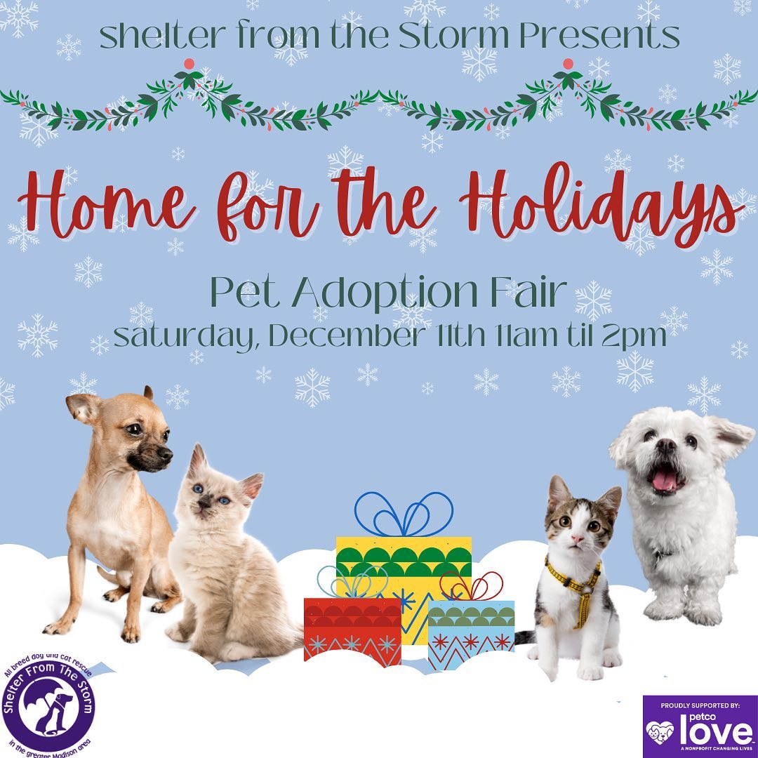 SFTS is celebrating our NEW Adoption Partnership with @petcolove by hosting an in-store adoption event! Join us on Saturday, December 11th at the Petco store location in Janesville. For more info, check out our Facebook event page. We HO-HO-HOPE to see you there!