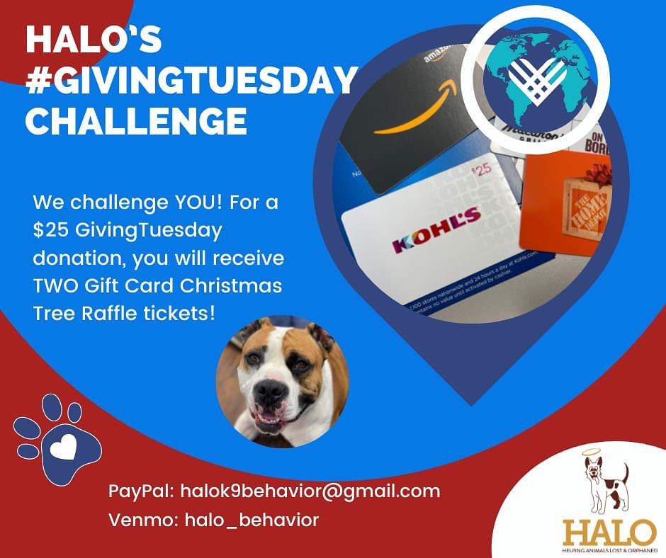TODAY IS THE DAY! HALO is kicking off <a target='_blank' href='https://www.instagram.com/explore/tags/GivingTuesday/'>#GivingTuesday</a> with a challenge to you - our dog loving community - to raise funds and awareness for our Shelter & Rescue Partner Program (SRPP). What is SRPP? HALO has partnered with several shelters and rescues, and receive referrals on dogs exhibiting behavior issues. Although we offer our services at a heavily reduced rate, funding is often an issue. Along with the funds, we have a space problem and therefore there is a waiting list. We hope to raise funding for the program and to expand our facility. Our challenge to you is for your $25 GivingTuesday donation, we will give you TWO GIFT CARD CHRISTMAS TREE RAFFLE TICKETS! You can donate via PayPal at halok9behavior@gmail.com or Venmo at halo_behavior and note 