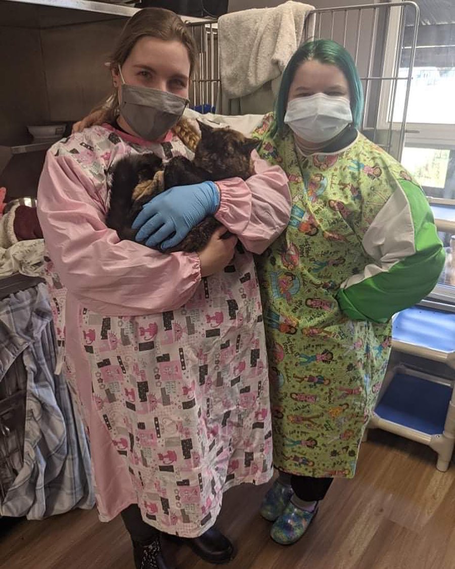 Thank you to the incredible group at Helping Hands Northumberland for supplying our shelter staff with new gowns! 

Wearing gowns while caring for the animals is essential in preventing the spread of illness in the shelter. Having washable gowns helps us to stay safe while also being better for the planet than disposable ones. 

It may not look like it, but Pandora was impressed with our new gowns and posing for the photo! 

Thank you for those that donated material and their time to support the shelter!