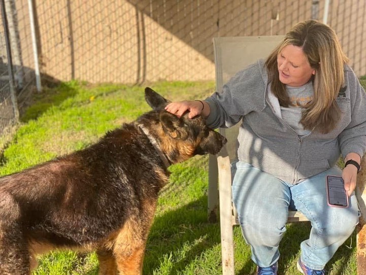 Imagine living every moment of every day cold and isolated, forced to lie in the muddy sludge of your own feces and urine.  Little access to food or clean water, a padlock on the door.  When our officer responded to an abandoned property, he discovered this gorgeous shepherd forced to live in horrific conditions.  Within an hour, FHAS staff had him cleaned up, well fed, and settled on a warm, dry bed.  It’s probably the most comfortable he’s been in months, if not years.  Your donations help care for animals like these and support our lifesaving work.  Please consider donating to Fresno Humane tomorrow for Giving Tuesday!
https://www.facebook.com/donate/1981738291994324/