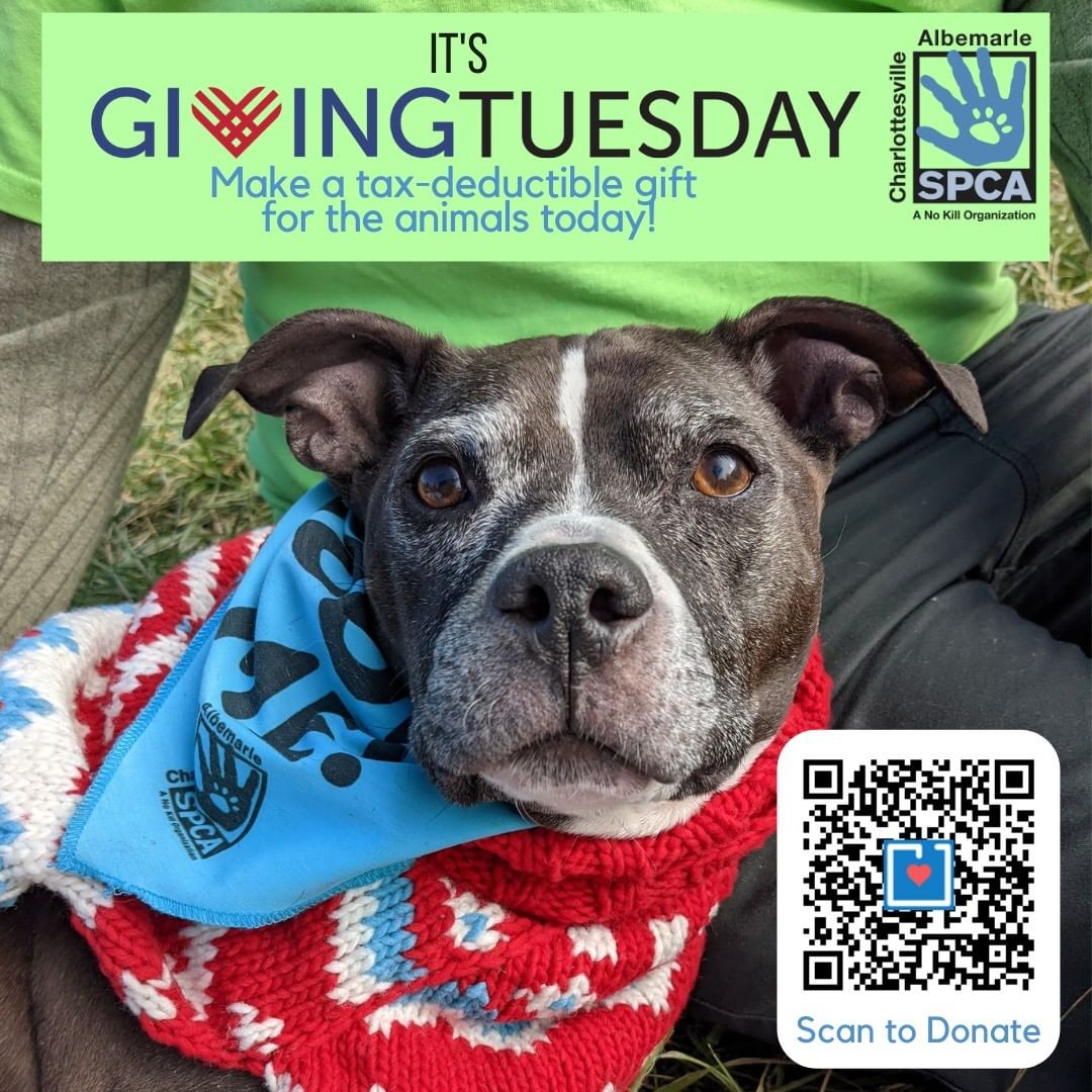 Throughout today we’re sharing how the Charlottesville-Albemarle SPCA is impacting our community and working to end animal homelessness.

Your gift today will help us provide care for homeless pets like Tristian, a sweet nine-year-old dog who is available for adoption. Thanks to you, we've already raised $10,530 and, thanks to an incredibly generous friend of the shelter, we have received a $50,000 matching gift to support the homeless animals in our care. Your gift will make twice the impact when you give now. 

Please help us raise the remaining $39,470 needed to get our matching gift and meet our $100,000 <a target='_blank' href='https://www.instagram.com/explore/tags/GivingTuesday/'>#GivingTuesday</a> goal!

Scan the QR to donate!

Thank you for supporting our lifesaving work! <a target='_blank' href='https://www.instagram.com/explore/tags/ShelterPets/'>#ShelterPets</a> <a target='_blank' href='https://www.instagram.com/explore/tags/Rescue/'>#Rescue</a>