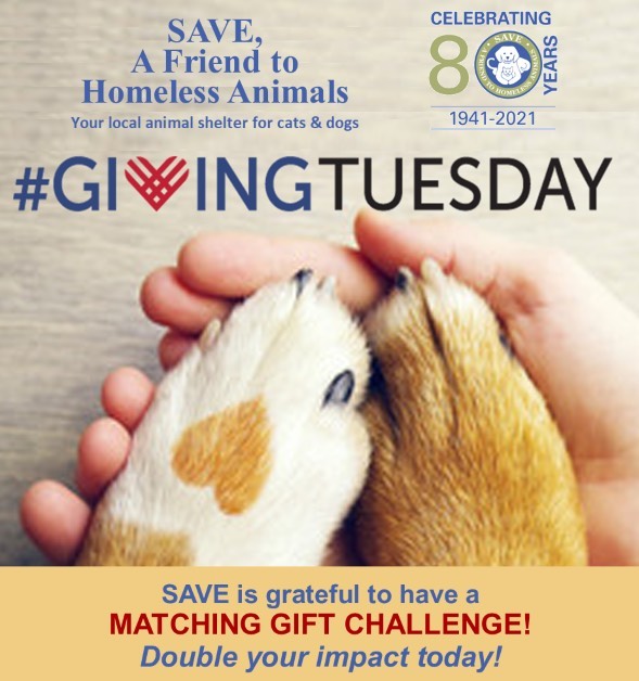 🌟 It’s <a target='_blank' href='https://www.instagram.com/explore/tags/GivingTuesday/'>#GivingTuesday</a> and we are thrilled to have a Matching Gift Challenge put forward by members of our Board!  Your gift TODAY will be DOUBLED❗️

SAVE does not receive tax dollars and relies solely on donations from animal-lovers. Thanks to YOU, we are able to help >1000 homeless cats and dogs every year providing medical care, shelter, food and love ❤️

Every dollar helps! Whether you can give $5, $50, or $500 - please consider a gift today 🙏🏼🙌🏼👍🏼🤛🏼

—>Donate here or visit our website 👉🏼savehomelessanimals.org/donate

THANK YOU from ALL of us at SAVE 🐱💙🐶
.
.
.
.
<a target='_blank' href='https://www.instagram.com/explore/tags/weloveourcommunity/'>#weloveourcommunity</a> <a target='_blank' href='https://www.instagram.com/explore/tags/ittakesavillage/'>#ittakesavillage</a> <a target='_blank' href='https://www.instagram.com/explore/tags/grateful/'>#grateful</a> <a target='_blank' href='https://www.instagram.com/explore/tags/fundraiser/'>#fundraiser</a> <a target='_blank' href='https://www.instagram.com/explore/tags/savehomelessanimals/'>#savehomelessanimals</a> <a target='_blank' href='https://www.instagram.com/explore/tags/adoptdontshop/'>#adoptdontshop</a> <a target='_blank' href='https://www.instagram.com/explore/tags/adoptashelterpet/'>#adoptashelterpet</a> <a target='_blank' href='https://www.instagram.com/explore/tags/skillmannj/'>#skillmannj</a> <a target='_blank' href='https://www.instagram.com/explore/tags/princetonnj/'>#princetonnj</a> <a target='_blank' href='https://www.instagram.com/explore/tags/montgomerynj/'>#montgomerynj</a>