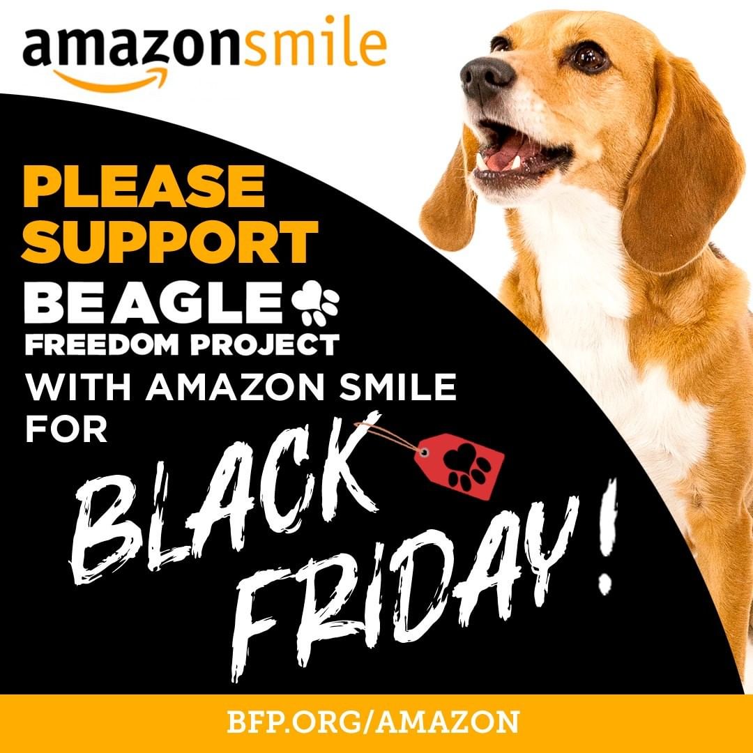 Support Beagle Freedom Project​ when you shop on Amazon for Black Friday. Go to BFP.ORG/Amazon to select us as your Amazon Smile charity and then start shopping each time at smile.amazon.com.

We also have a Black Friday Sale in our shop! No discount code is needed. BFP.ORG/Shop

______________________

We are also @BFPCanada and @CrueltyCutter. <a target='_blank' href='https://www.instagram.com/explore/tags/BlackFriday/'>#BlackFriday</a> <a target='_blank' href='https://www.instagram.com/explore/tags/AnimalTesting/'>#AnimalTesting</a> <a target='_blank' href='https://www.instagram.com/explore/tags/CrueltyFree/'>#CrueltyFree</a> <a target='_blank' href='https://www.instagram.com/explore/tags/Beagle/'>#Beagle</a> <a target='_blank' href='https://www.instagram.com/explore/tags/AmazonSmile/'>#AmazonSmile</a>